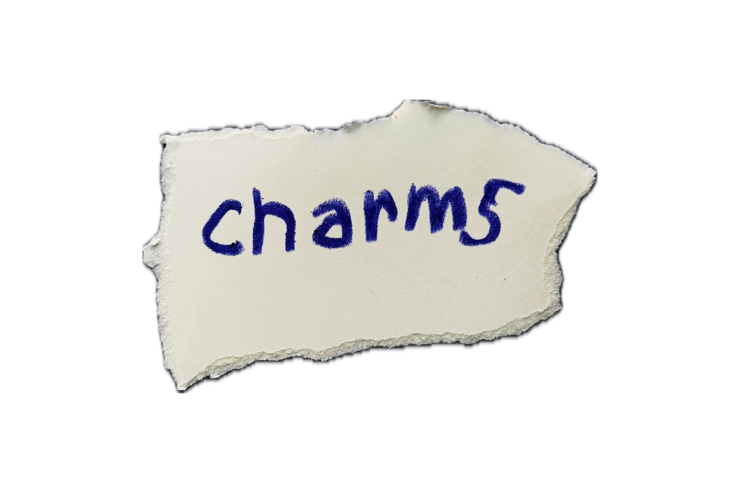 Piece of torn paper with the word 'chams' written in blue ink.