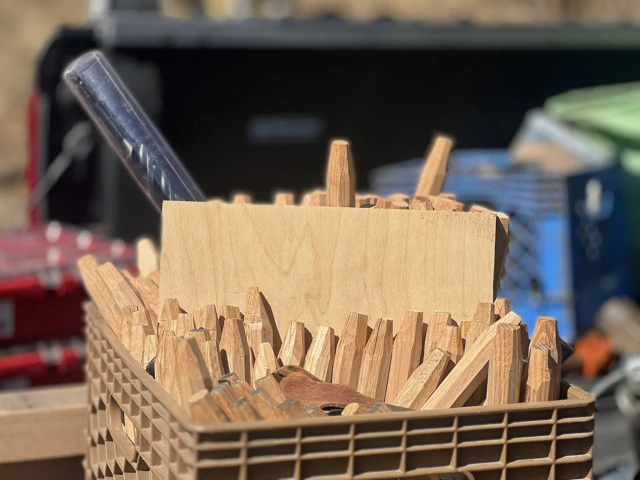 Traditional Oak Pegs