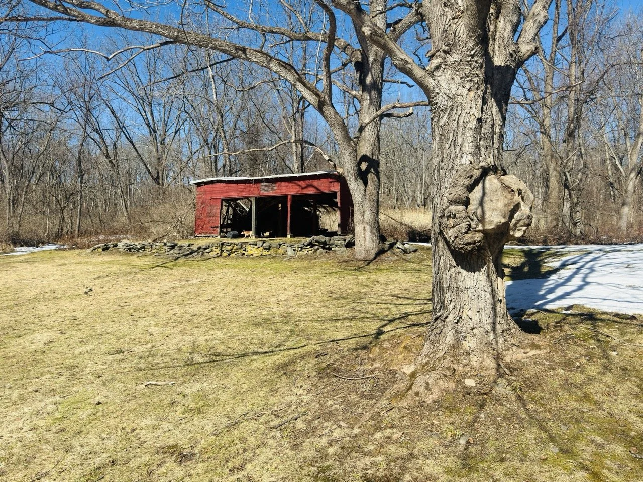 IMG_2977 Large.jpeg