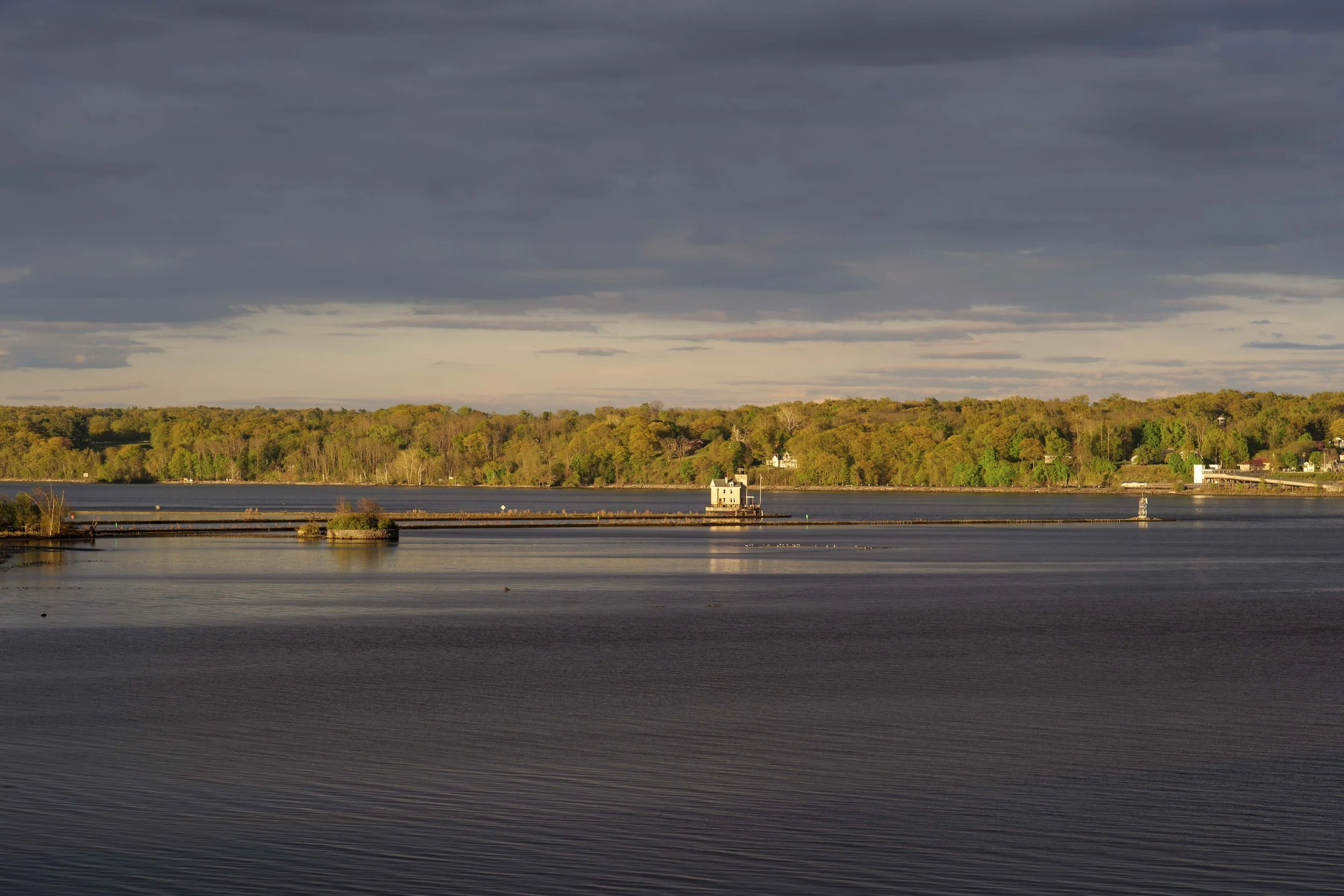 P1039903_1.JPG