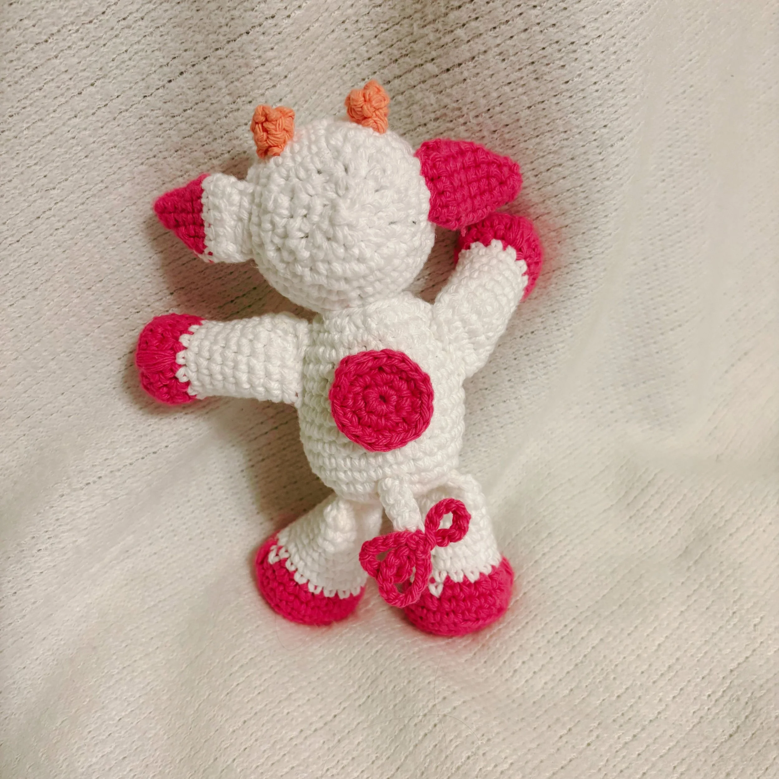 43.jpg