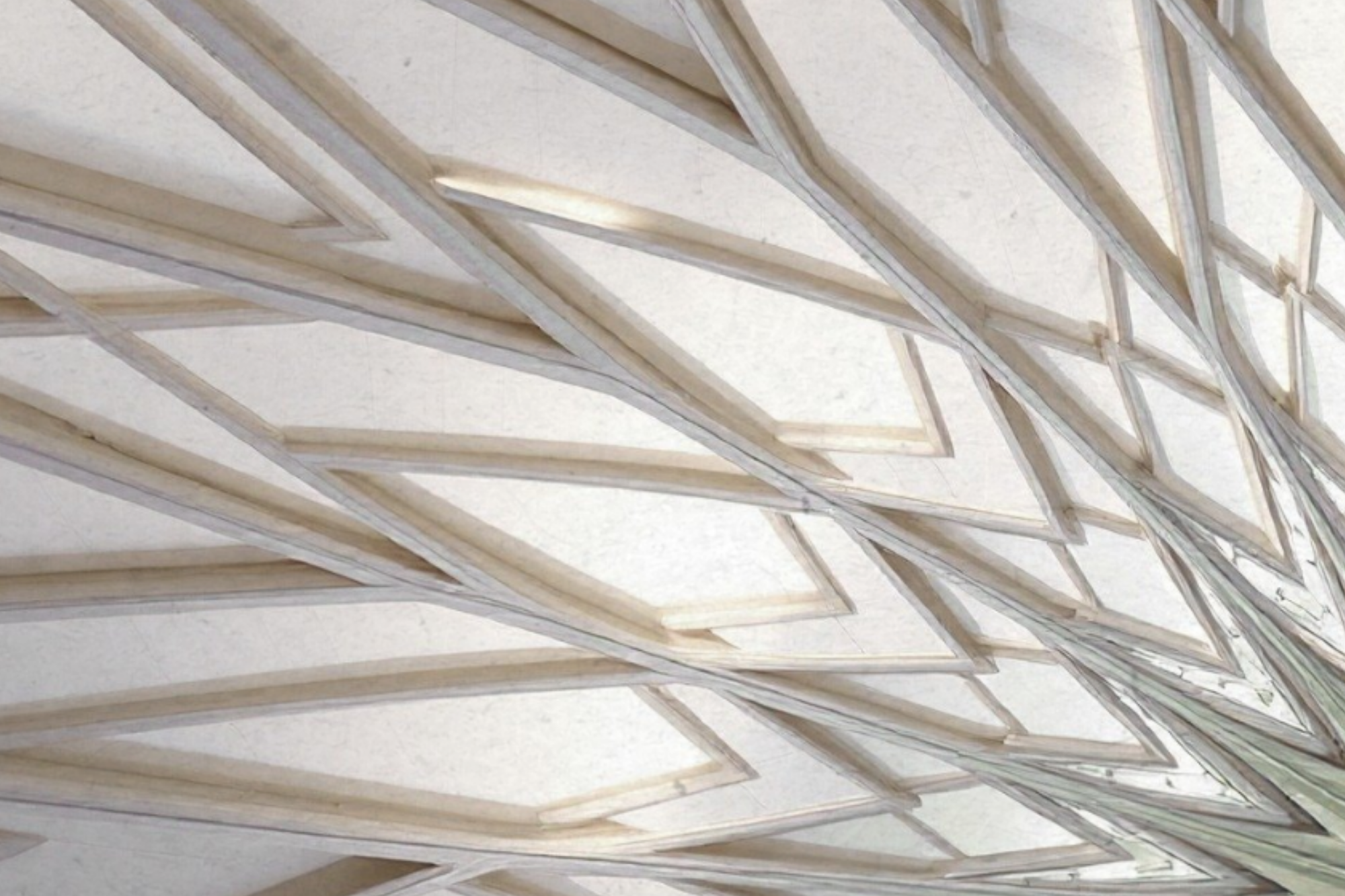 The Dandelion Strategy: A Systems Approach to Resilient Business Growth