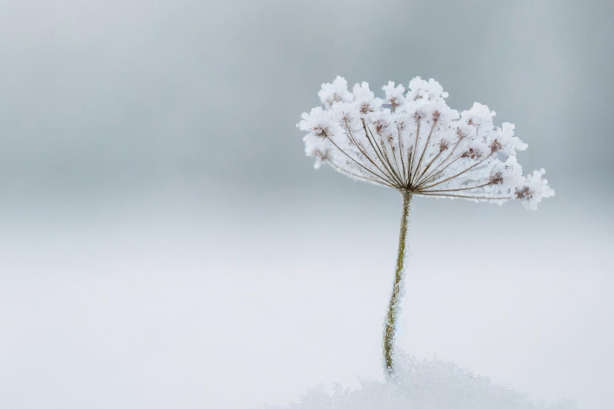 Why Eco-Friendly Business Is a Strategic Advantage — Not a Trade-Off