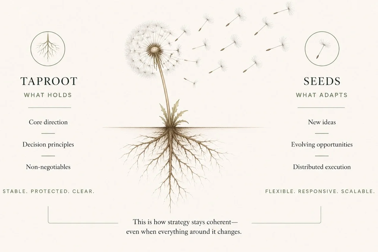 An illustration of a dandelion with its seeds dispersing in the wind, showing the roots and structure. Text explaining the functions of taproot and seeds in a comparison, highlighting pinch points like core direction, decision principles, and adaptability.