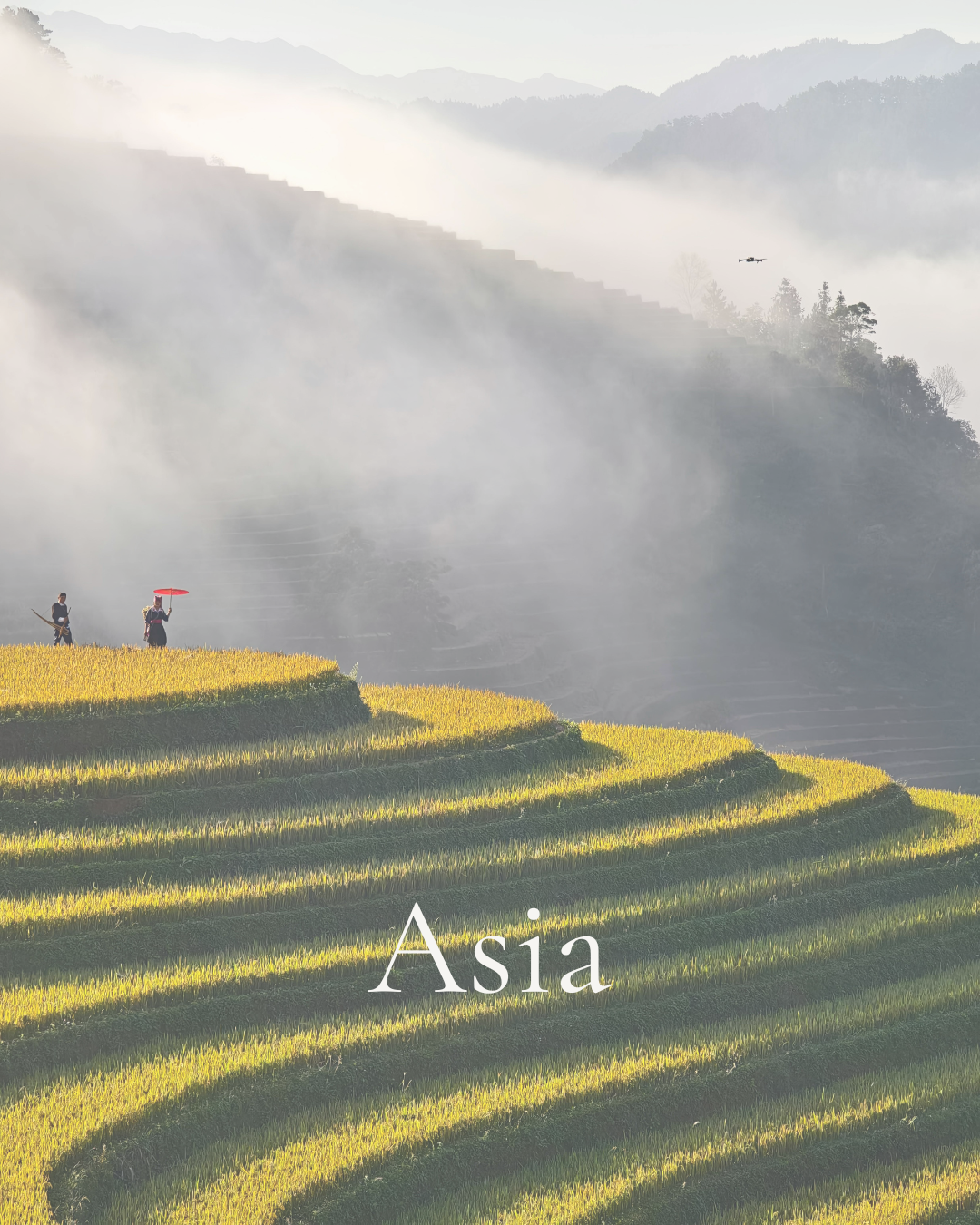 Asia strategy report Q3 2o26