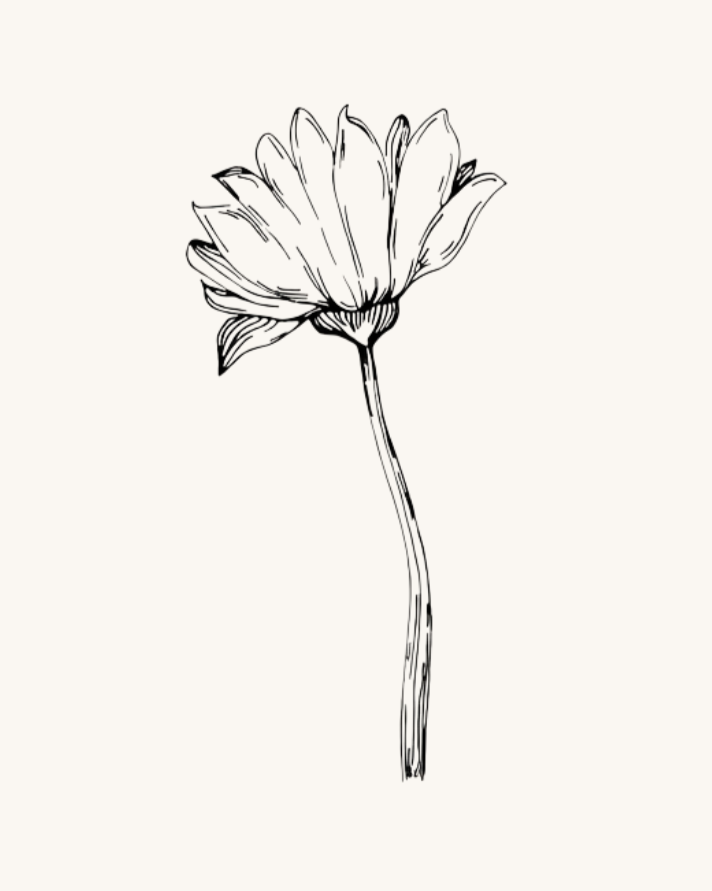 Dandelion flower