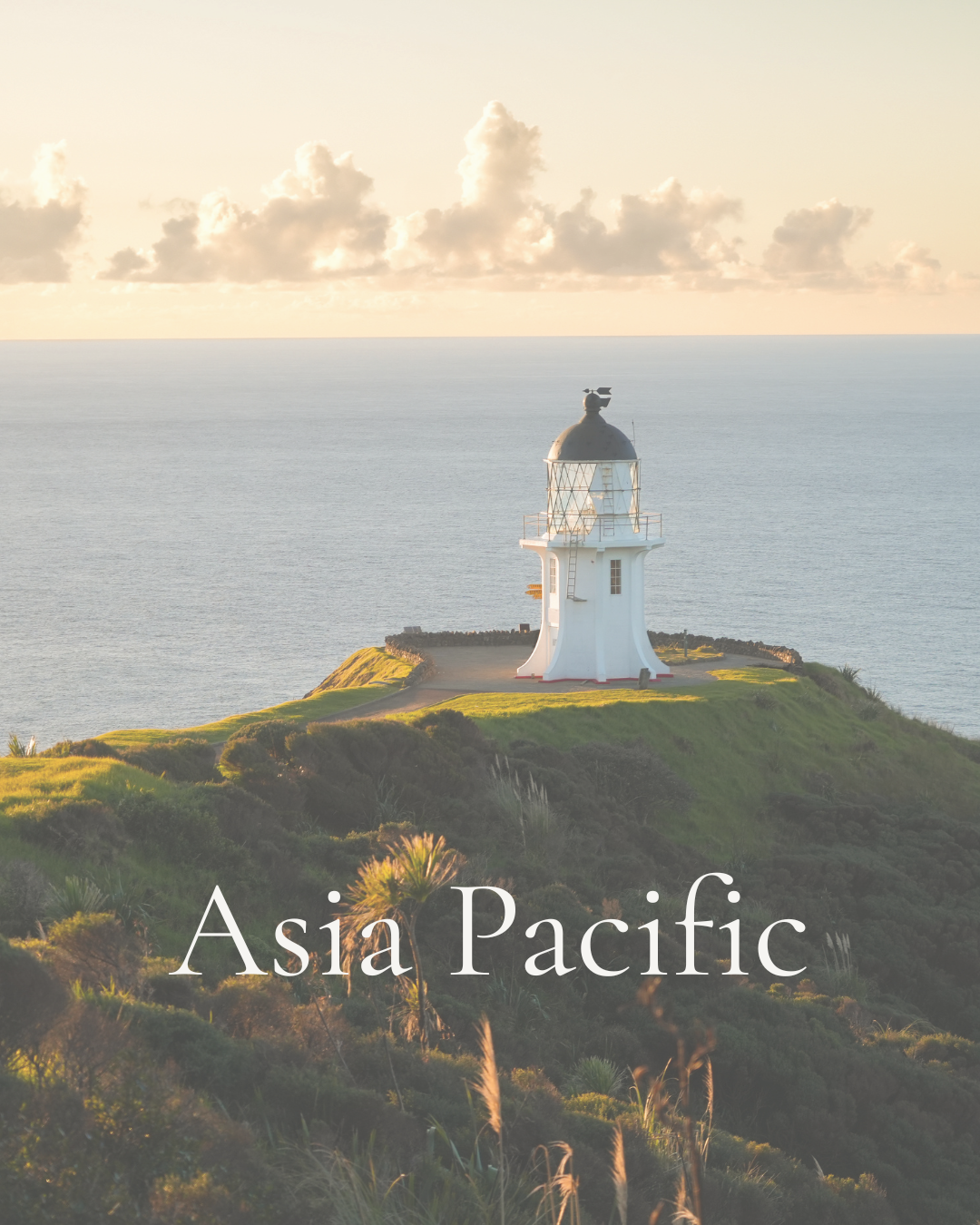 Asia Pacific strategy report Q3 2o26