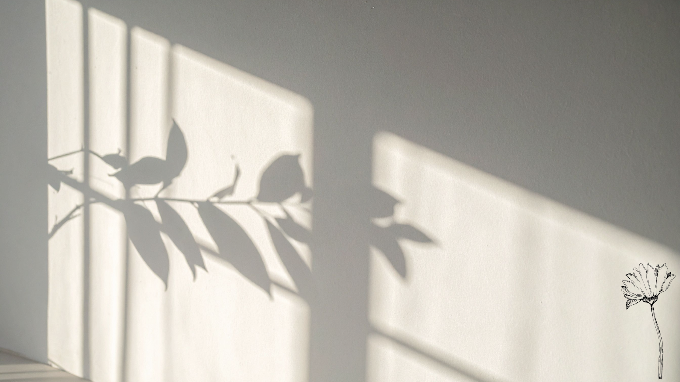 Botanical shadows to imply calm, complex decision making