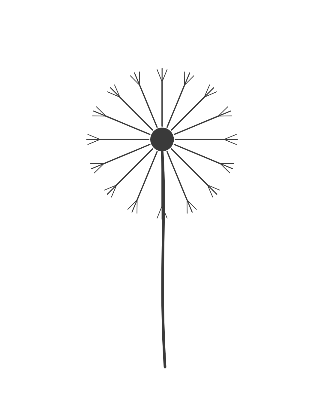 Dandylion