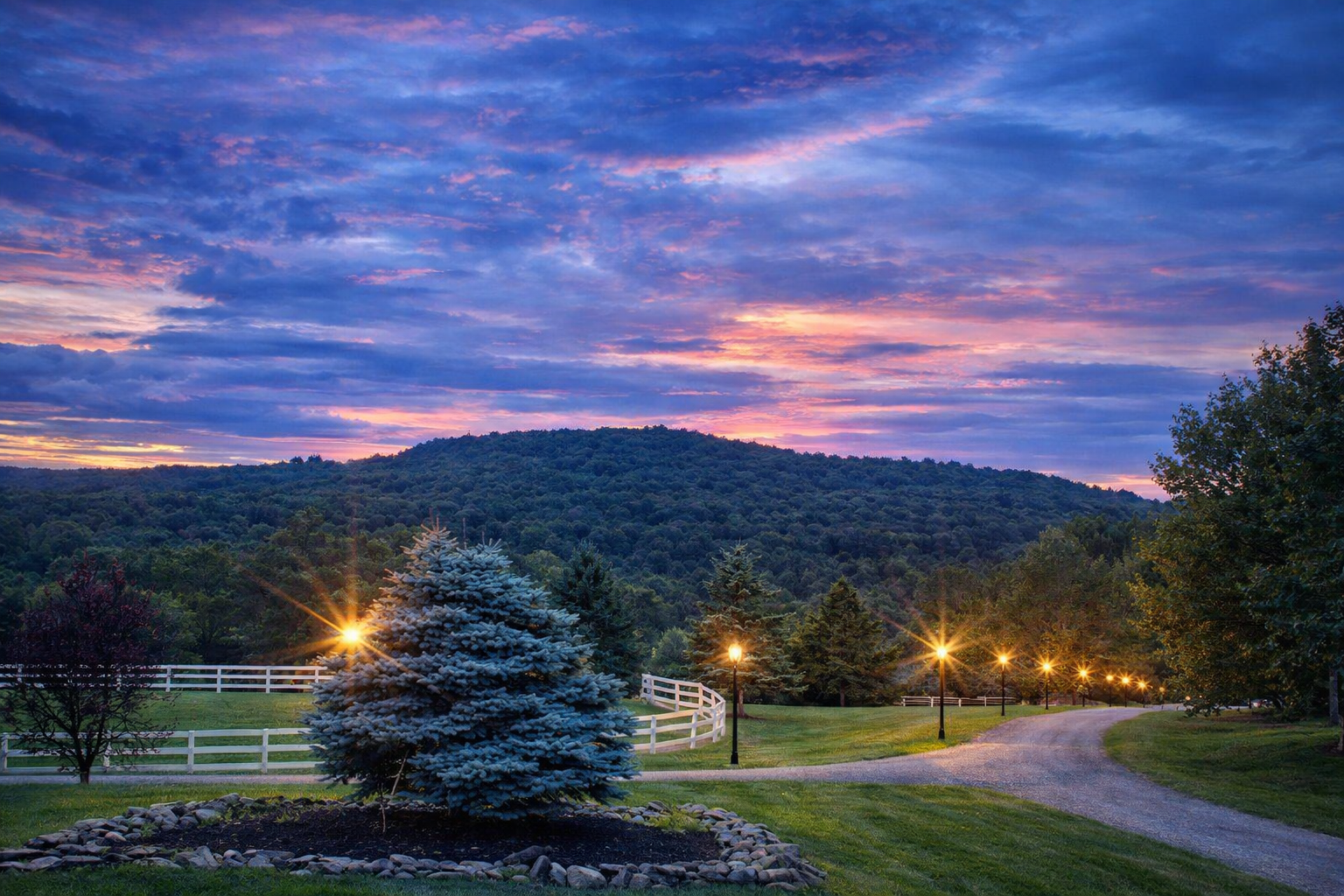 ChatGPT Image Jan 18, 2026, 03_40_50 PM.png