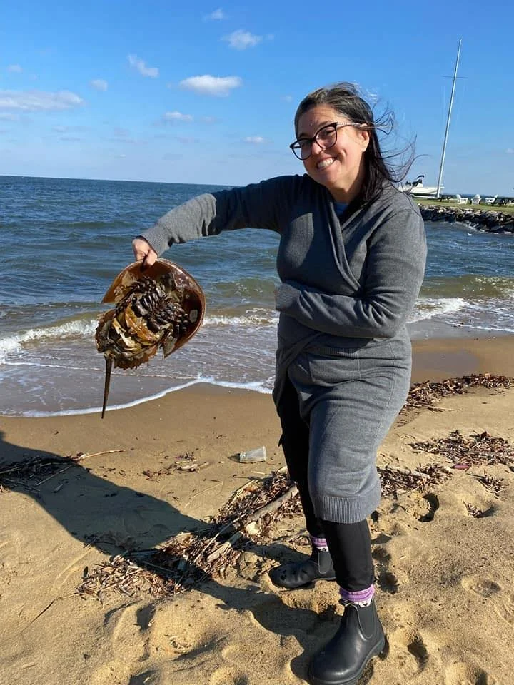 Woman standing on a sandy beach wearing glasses, a gray hoodie, and gray pants, holding a large horseshoe crab, with the ocean and a sailboat in the background.
