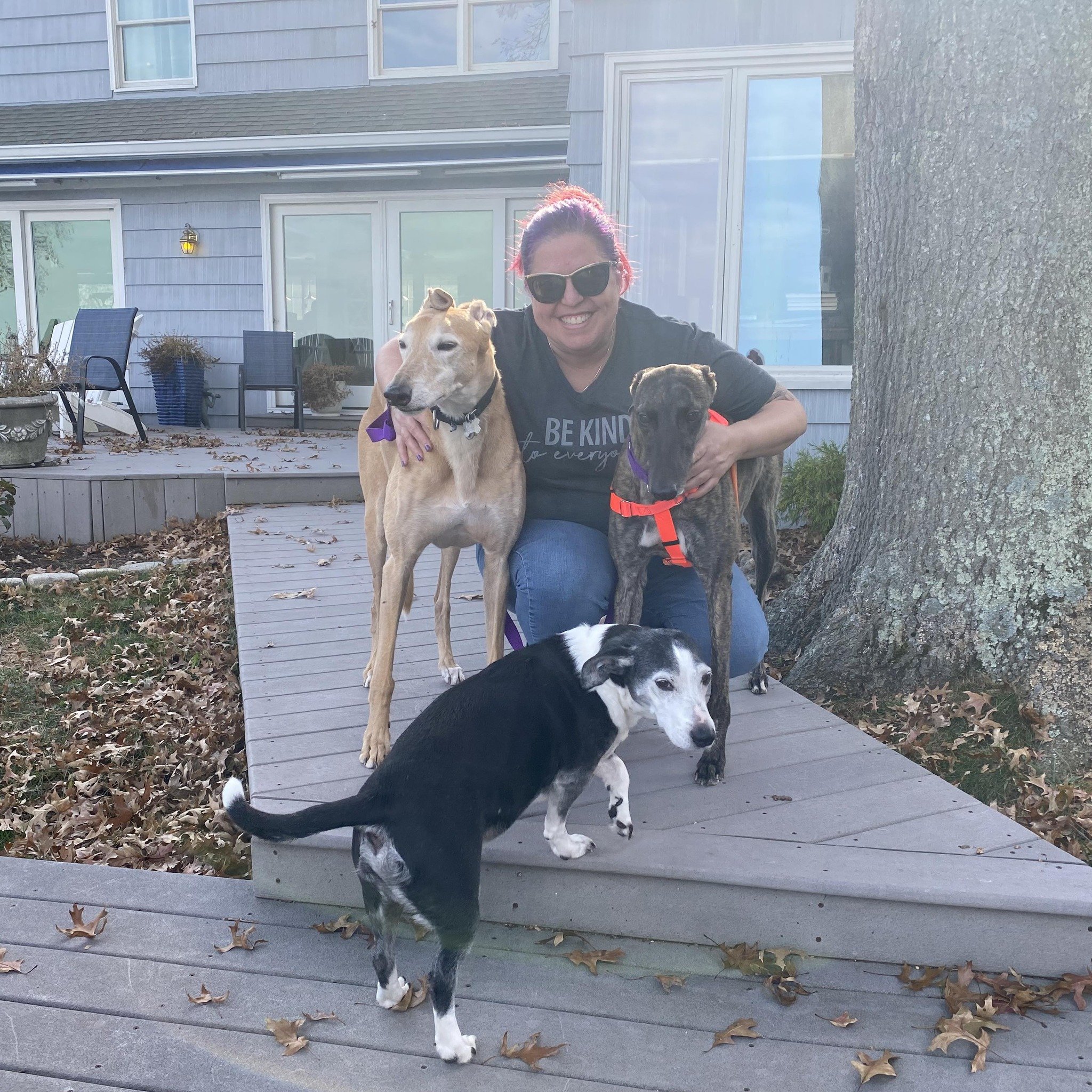 A woman with red hair and sunglasses crouching on a wooden deck outside, surrounded by three dogs, smiling at the camera.
