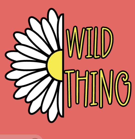 Screenshot 2025-09-14 at 9.31.51 PM.png