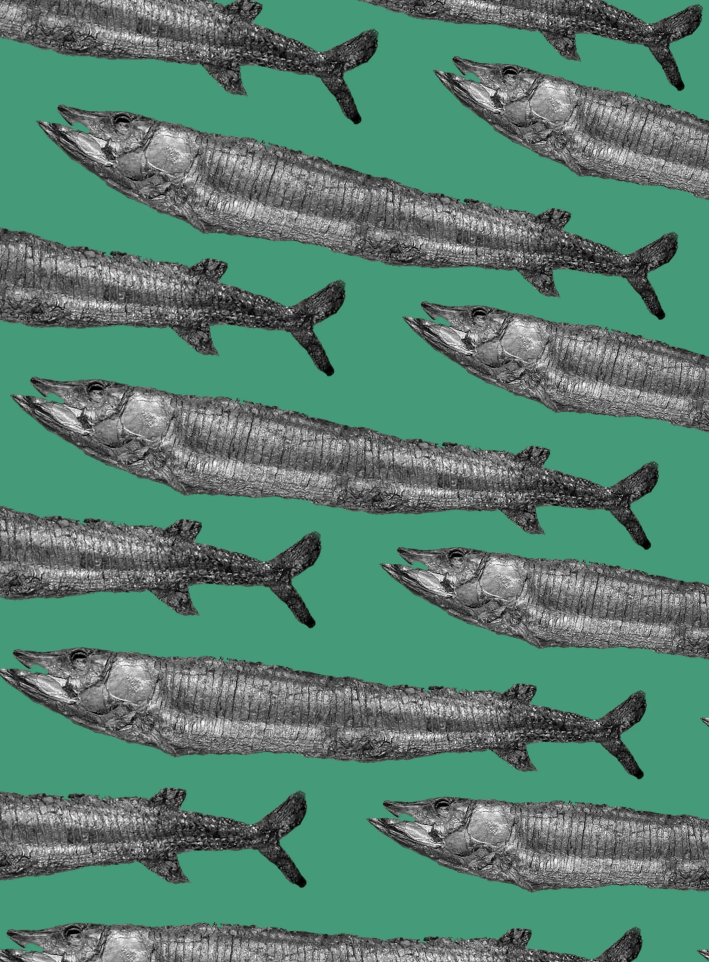 Stone School 2406x3267.jpg