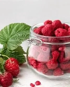 Framboises fraîches et feuilles au côté d'un pot de framboises lyophilisées