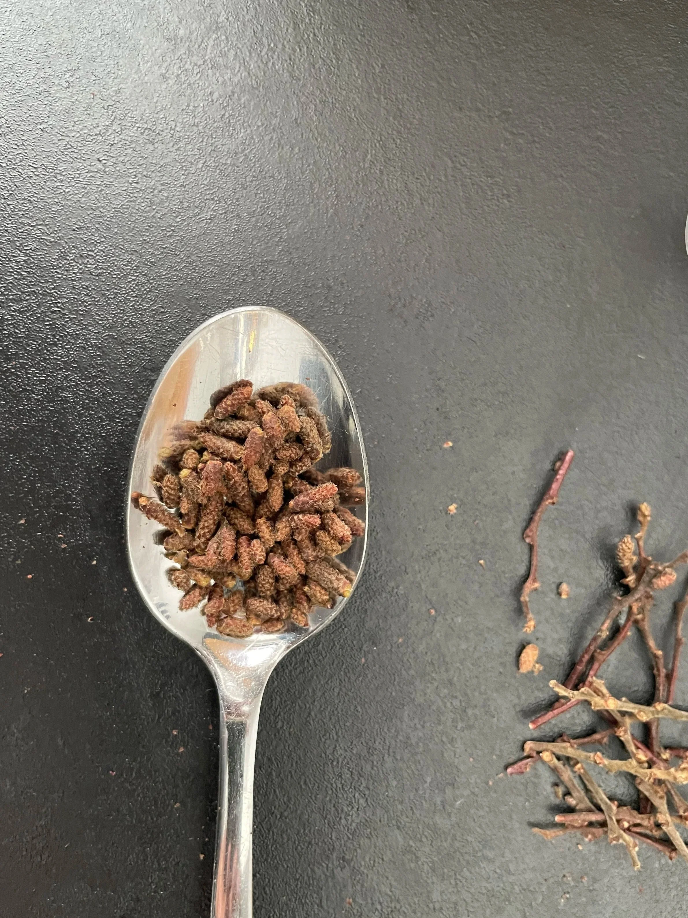 Nard des pinèdes déposé dans une cuillère