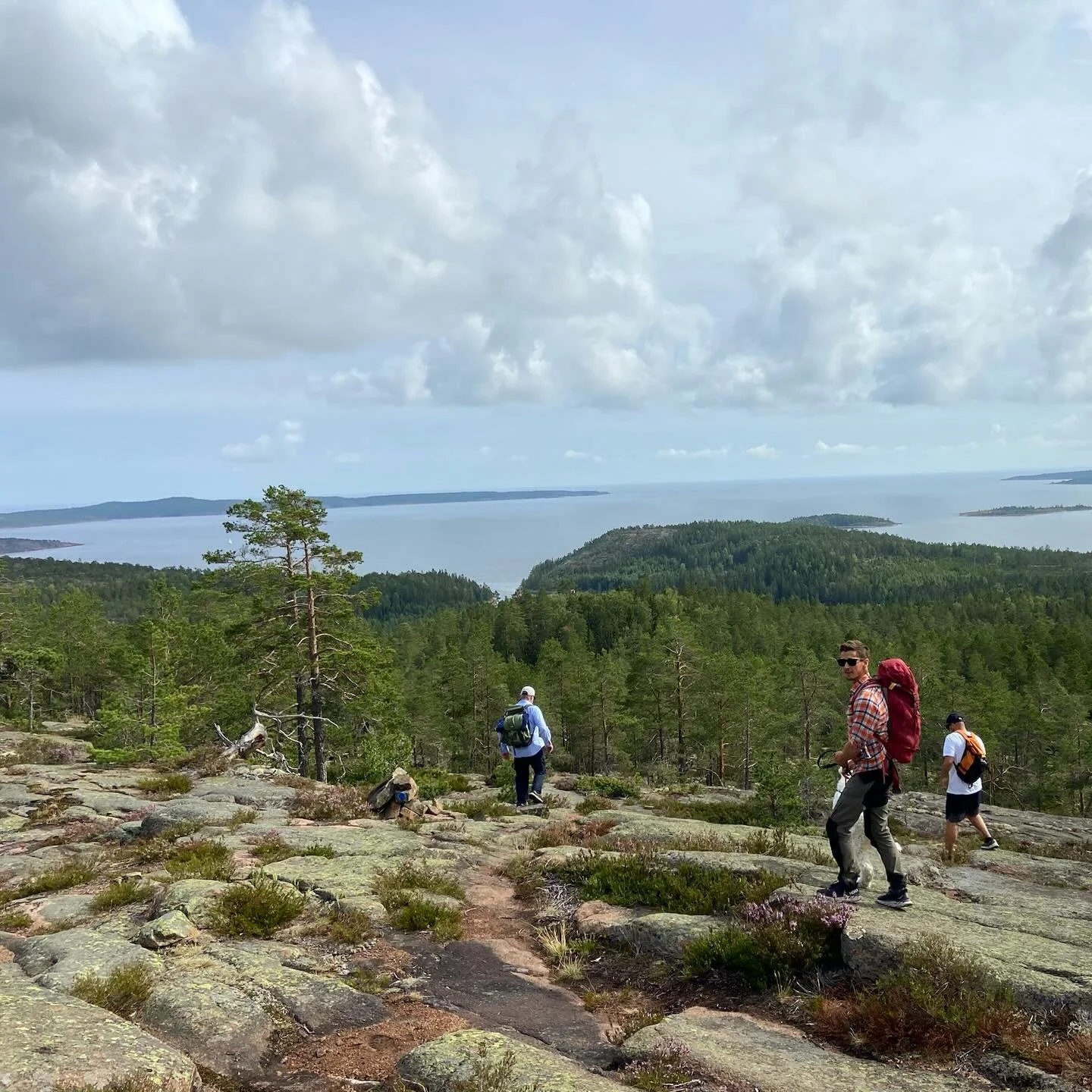 🌿 Nature is always close on Ulv&ouml;n.

Walk through quiet forests. 
Follow the coastline.
No schedules.
No queues.
Just space to breathe.

Trails start just outside the door.

#ulvon #ulv&ouml;n #highcoast #swedenstay #naturegetaway