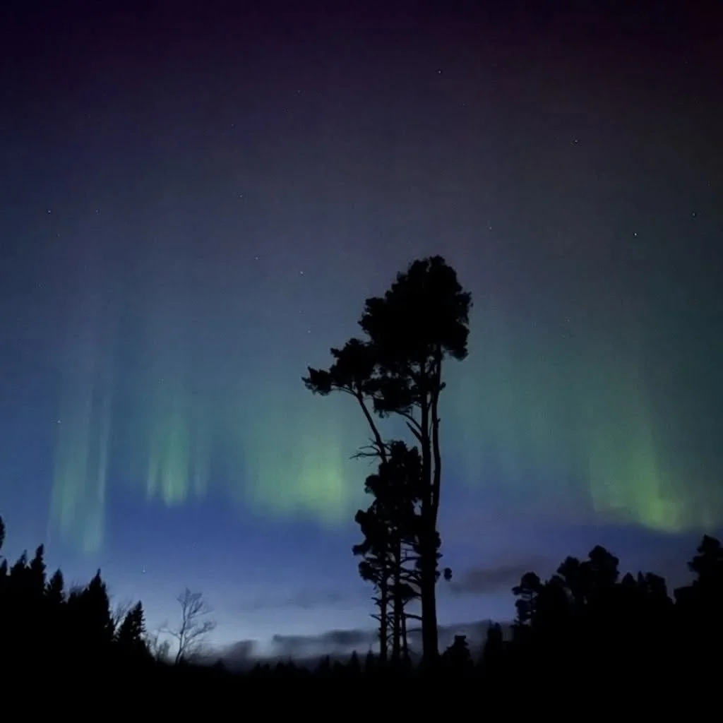 Outside peak summer, Ulv&ouml;n offers a slower rhythm.
Stillness, light, and space to breathe 🤍

#ulvon #ulv&ouml;n #highcoast #swedenstay #naturegetaway