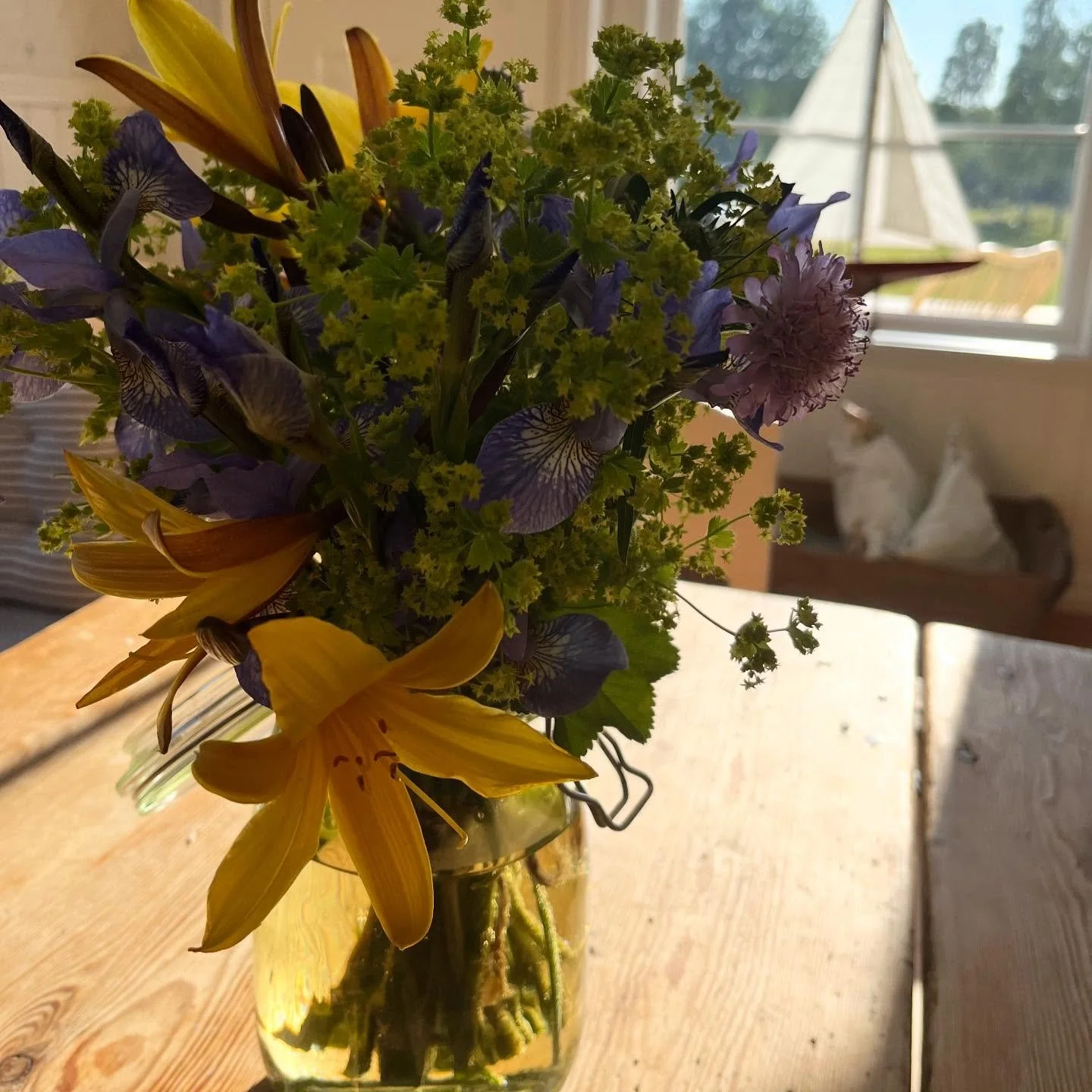 🏡 This house is made to be lived in.
☀️ Morning light, open windows, and the smell of fresh coffee.

🛏️ The house offers two large bedrooms and one additional room.
🍽️ A spacious kitchen and living room.

🌿 Outdoors there is a large terrace and a