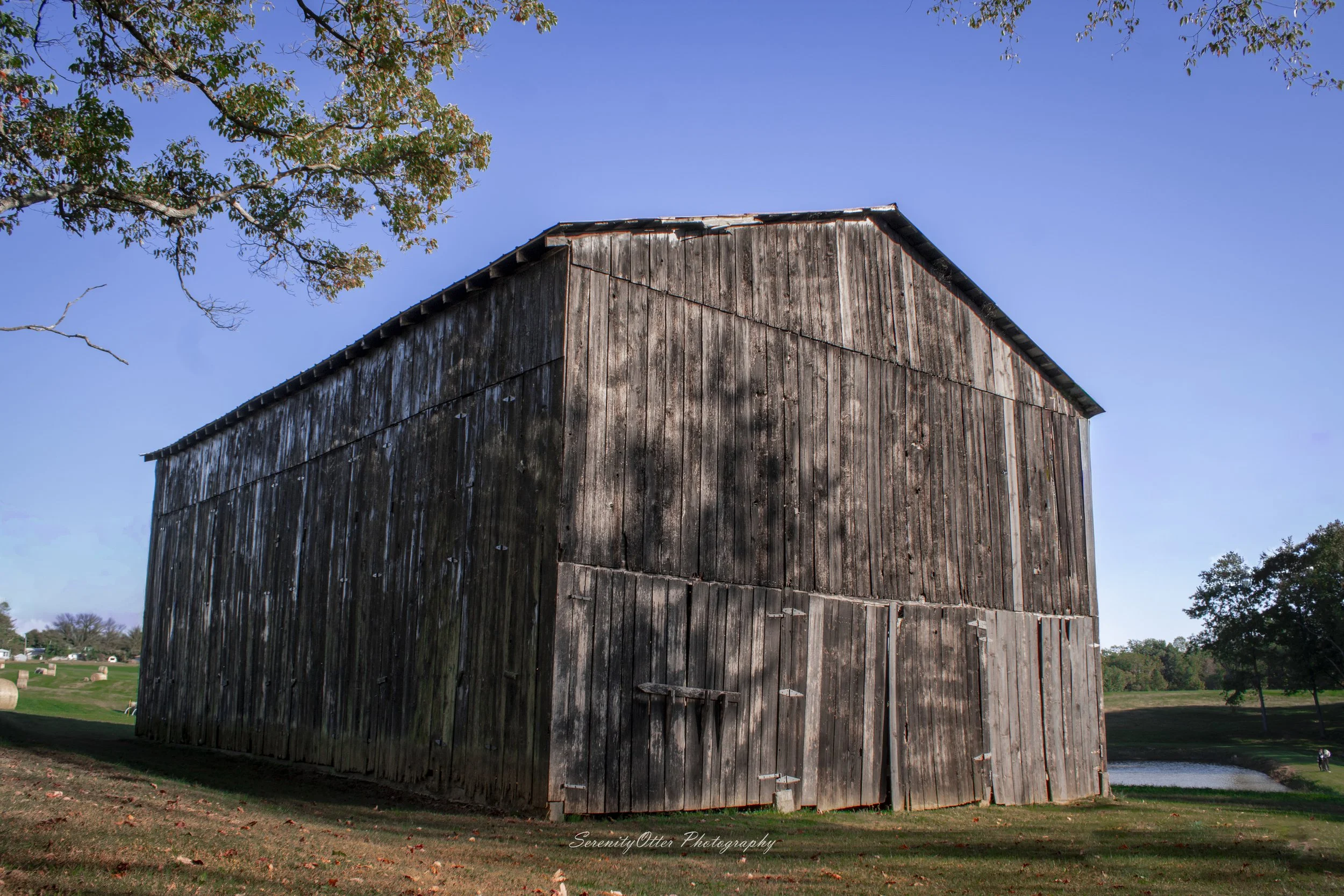 Nixon farm-1.jpg