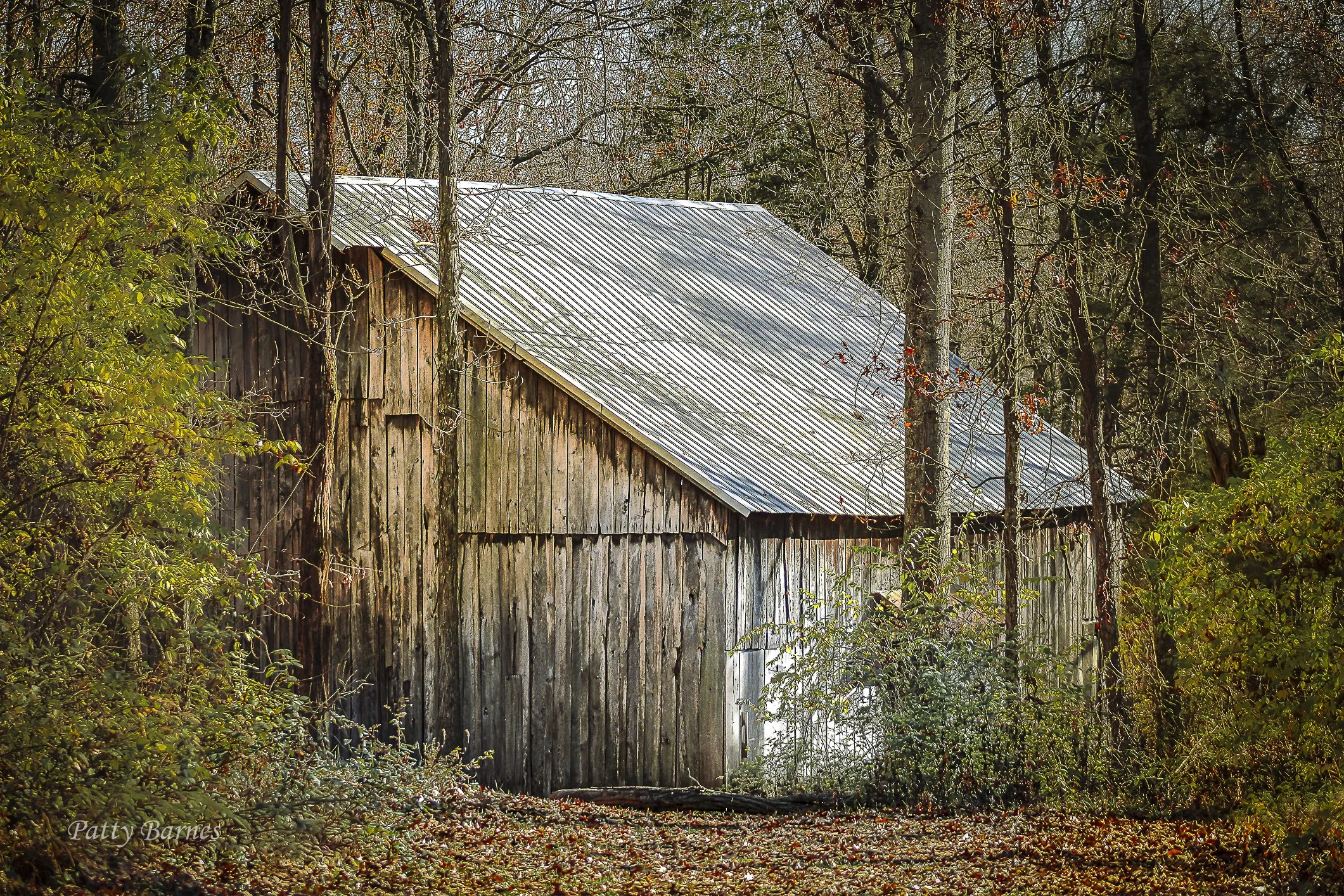 Meyers cabin in color.jpg