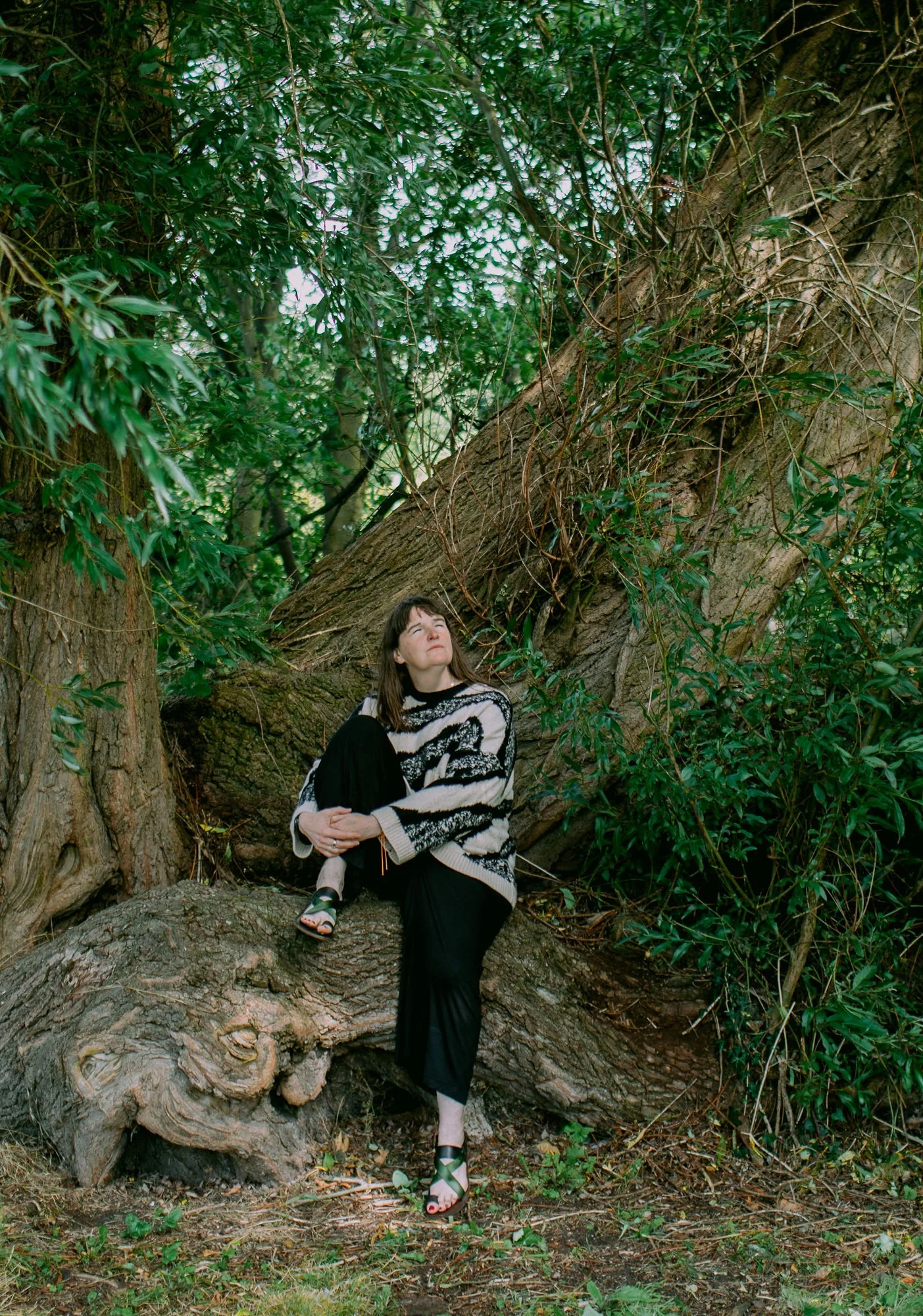 A woman sitting on a large tree branch amidst lush green foliage.