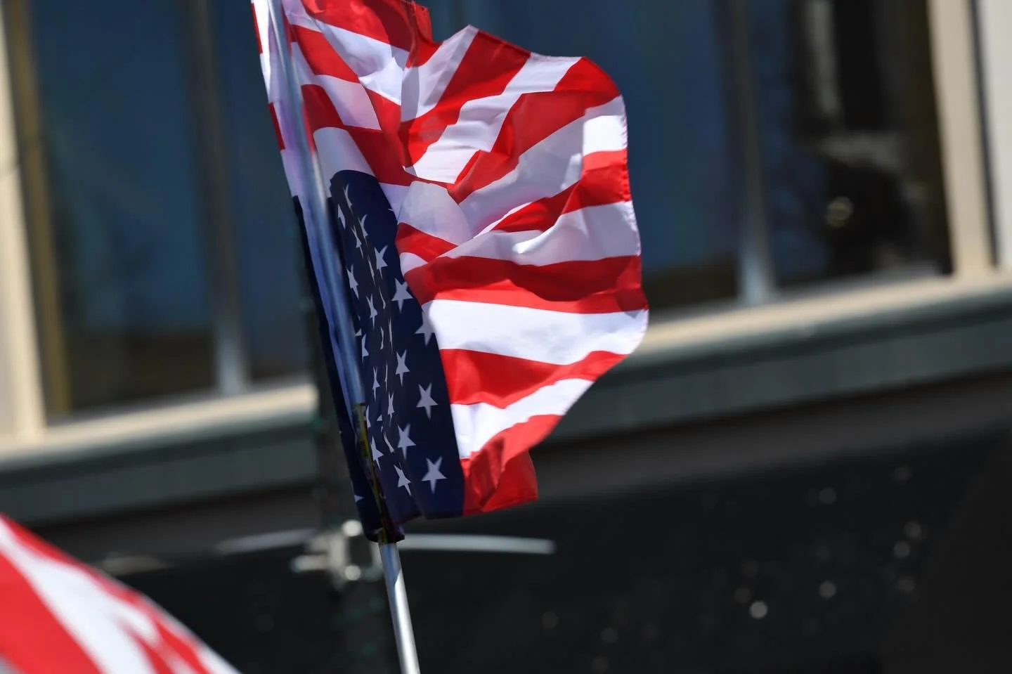 Shot some of the No Kings Rally in Grand Rapids today. This one was much larger than the last, and the signs just get more creative and clever. Thankfully there was no conflict. Pretty much a family event. I also met and photographed Lucy, the amazin