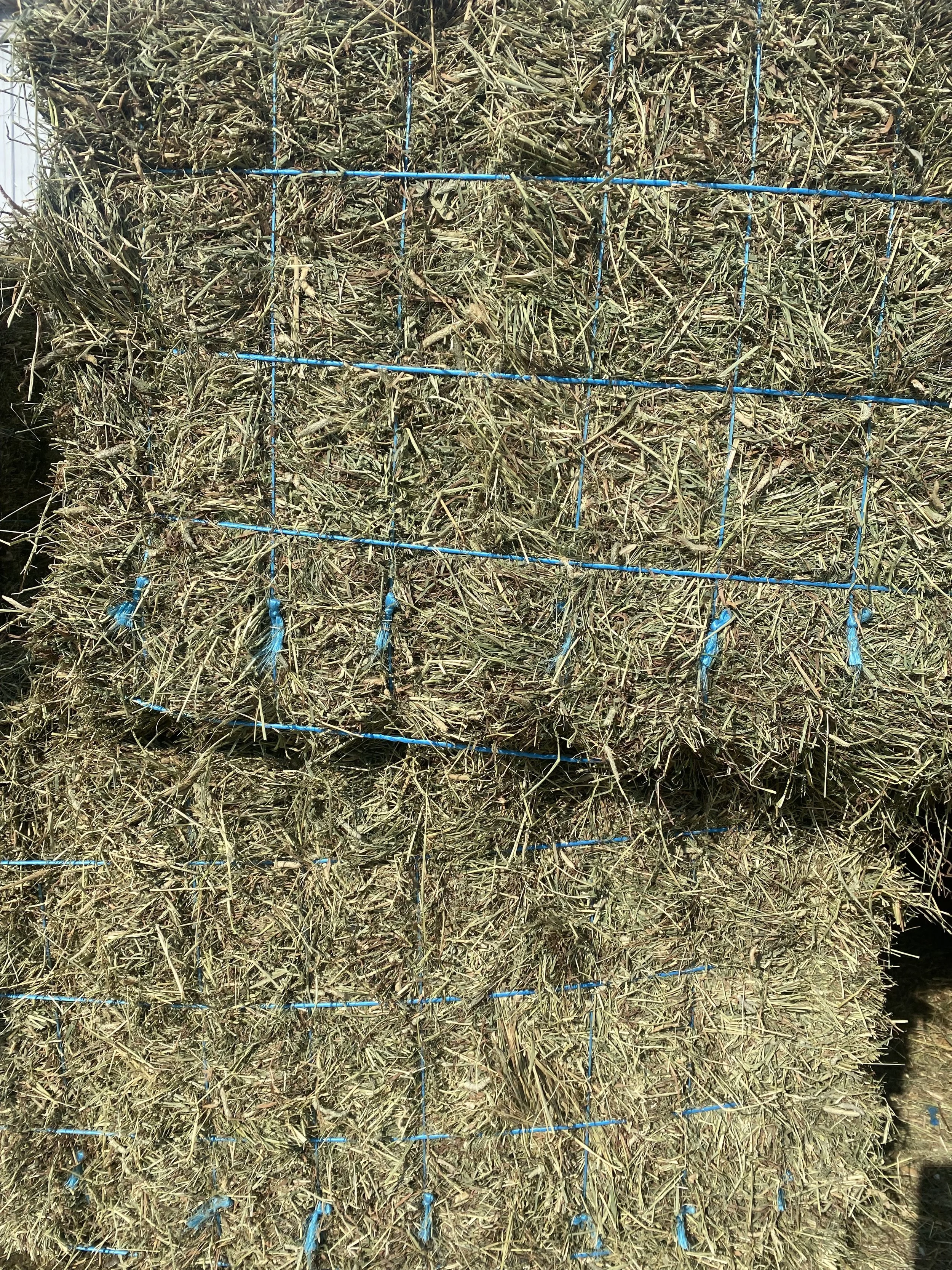 Forage Analysis by VEN