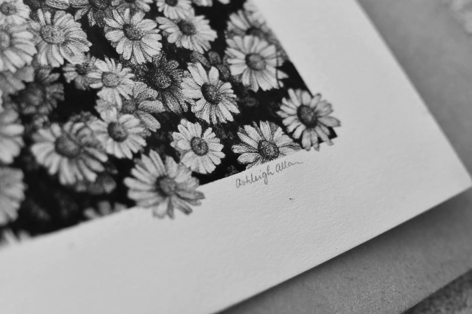 DSC_1182.png