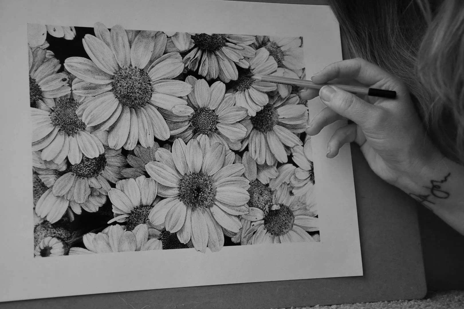 DSC_1017.png