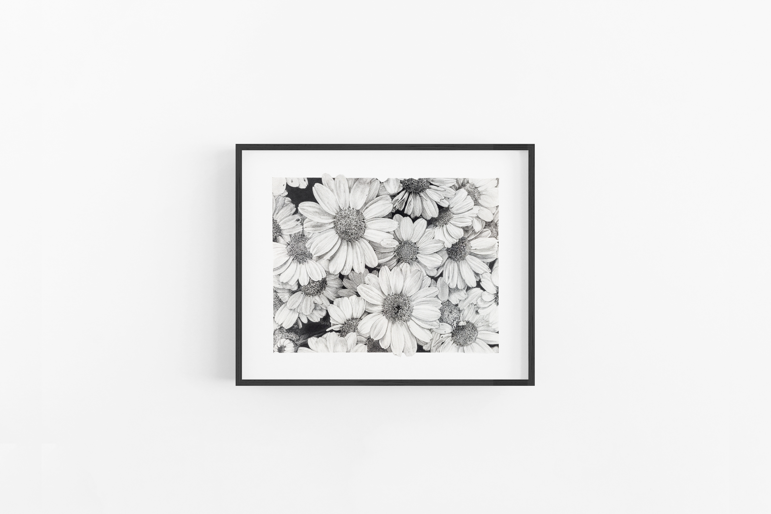 Bed of Daisies Scene 129 (Black).png