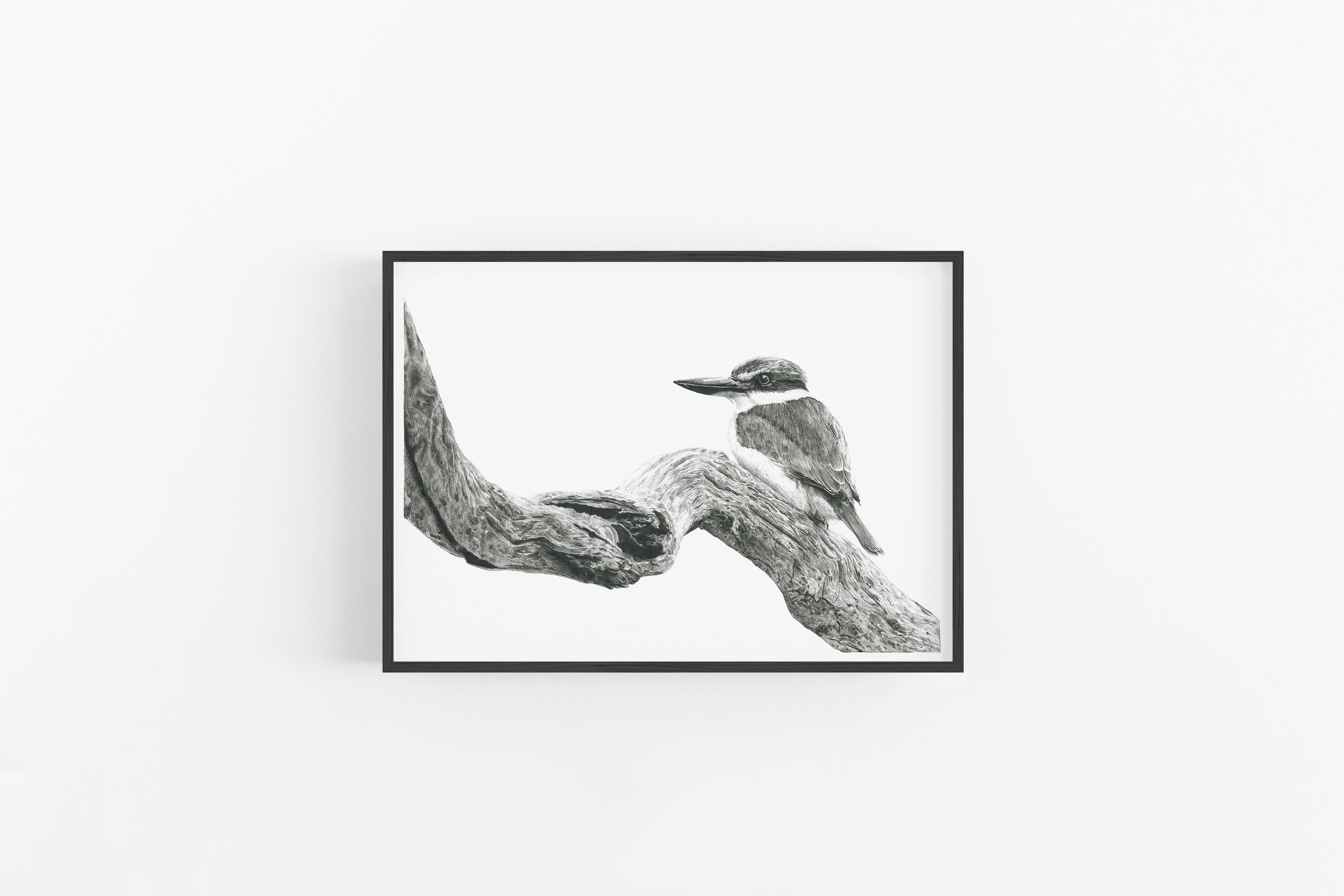 Kingfisher Sits Scene 131 (Black).png