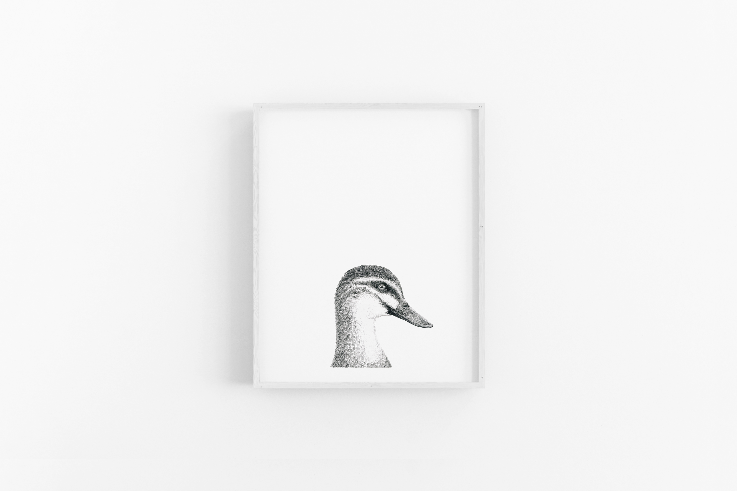A Duck Above the Rest Scene 130 (White).png