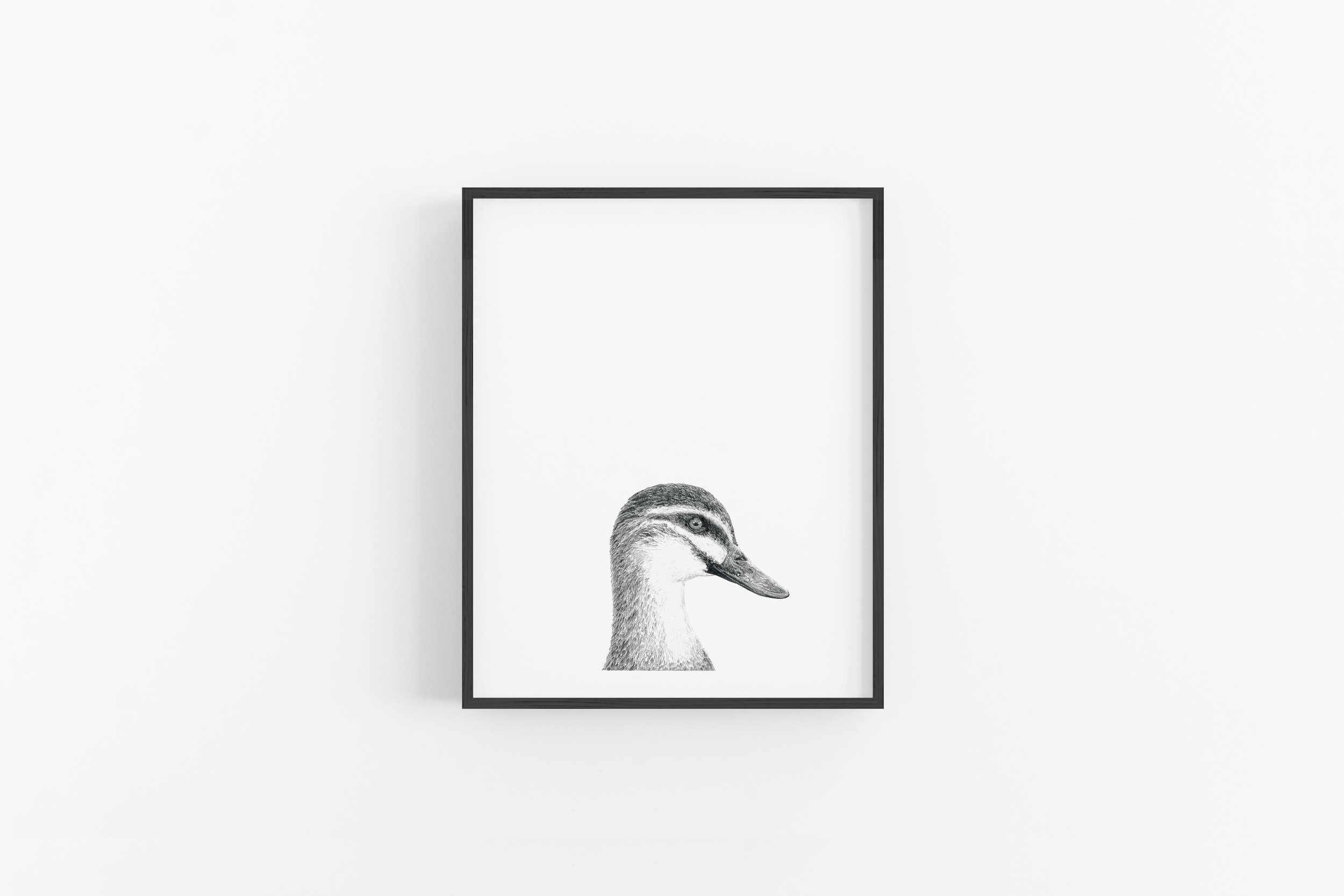 A Duck Above the Rest