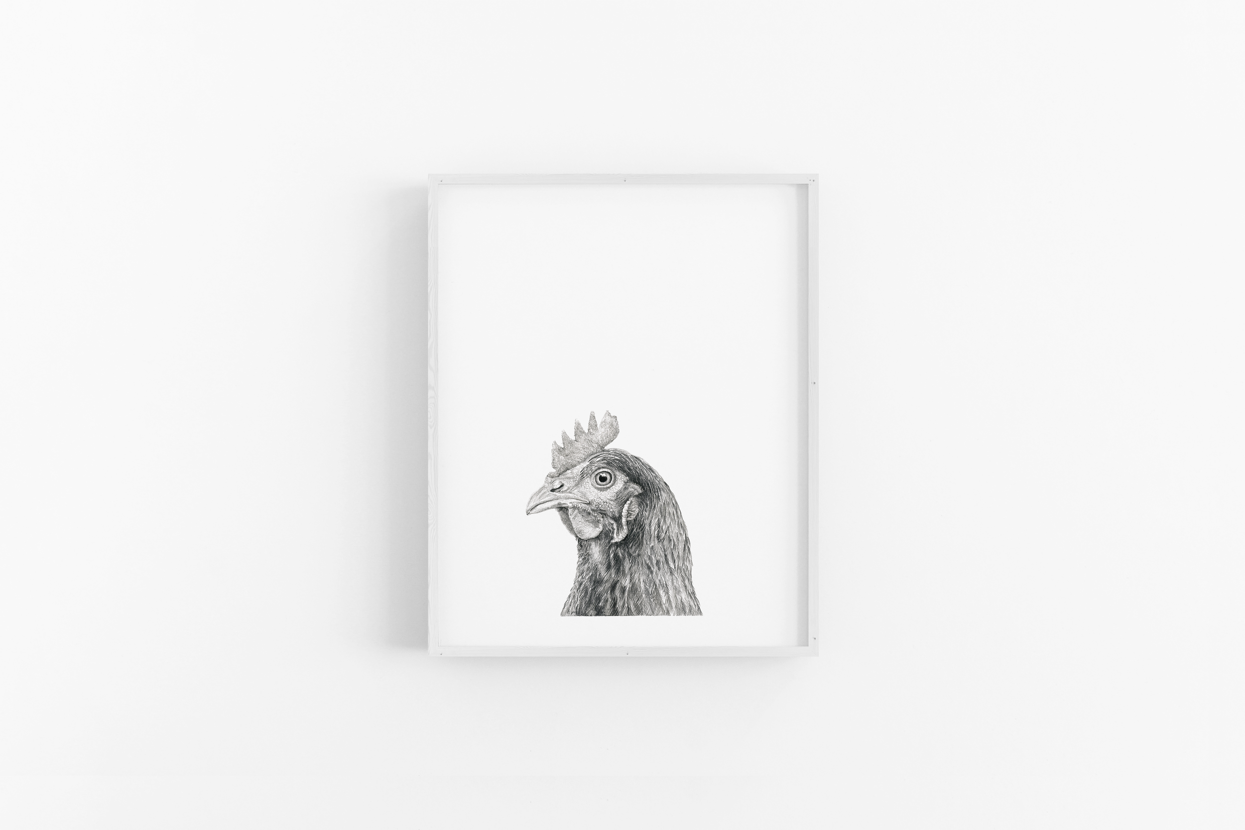 Pride in the Pecking Order Scene 130 (White).png