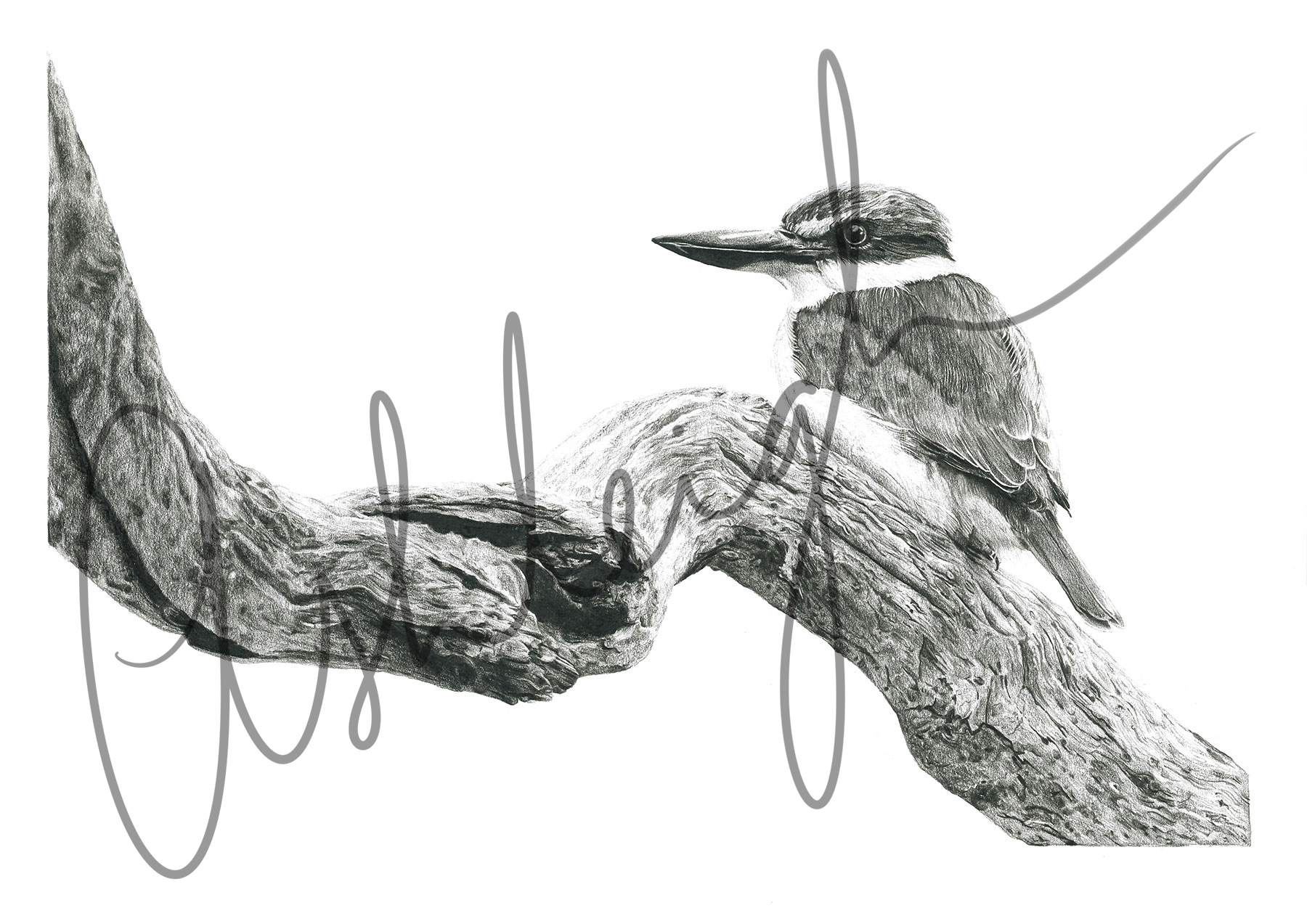 3 Websize Watermark.png