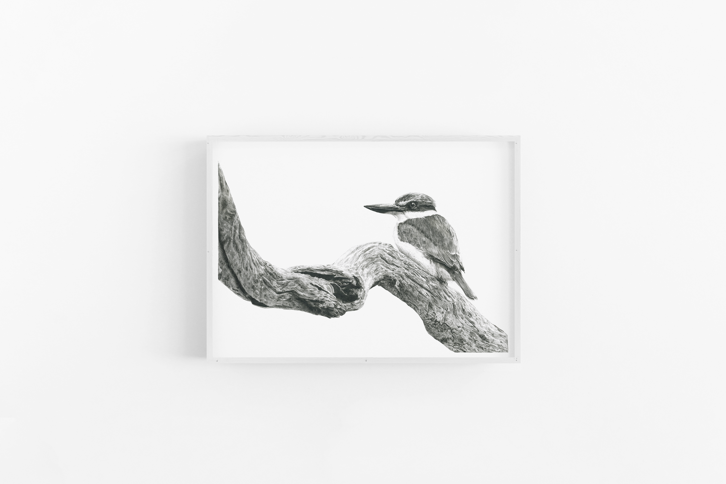 Kingfisher Sits Scene 131 (White).png