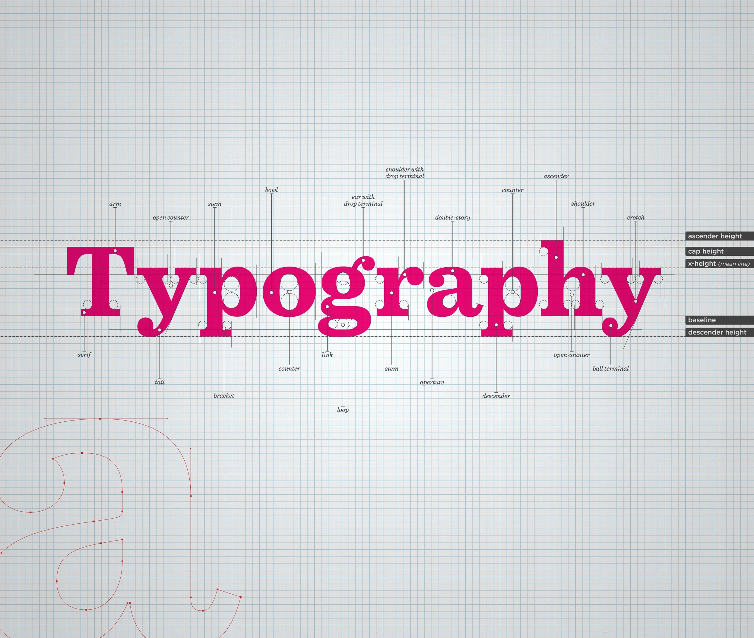 Typography