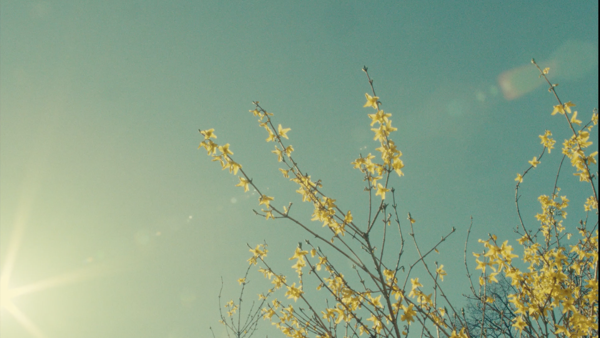 Skjermbilde 2026-02-24 kl. 12.15.19.png