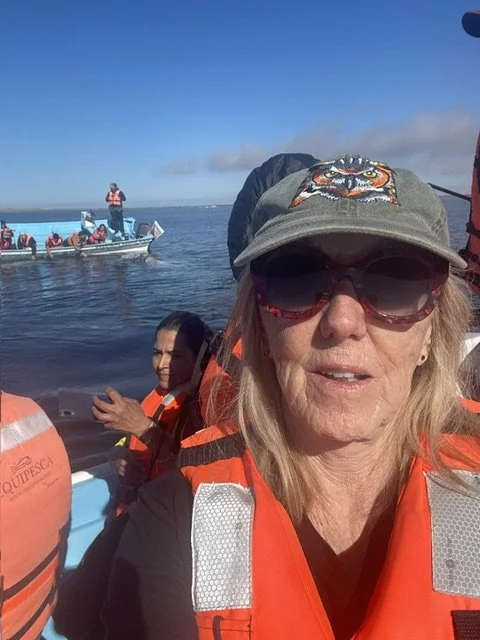 Whale watching in Mexico