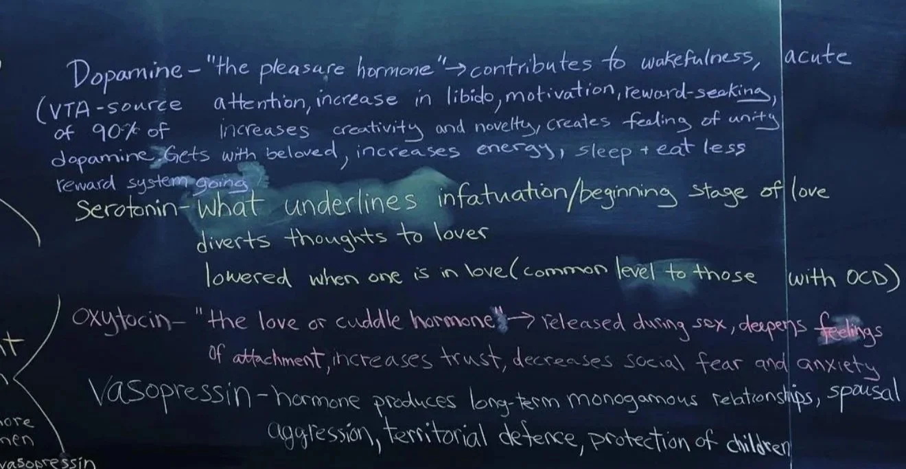 Handwritten notes on a chalkboard discussing hormones related to love and attraction, including dopamine, serotonin, oxytocin, and vasopressin, with definitions and effects listed.