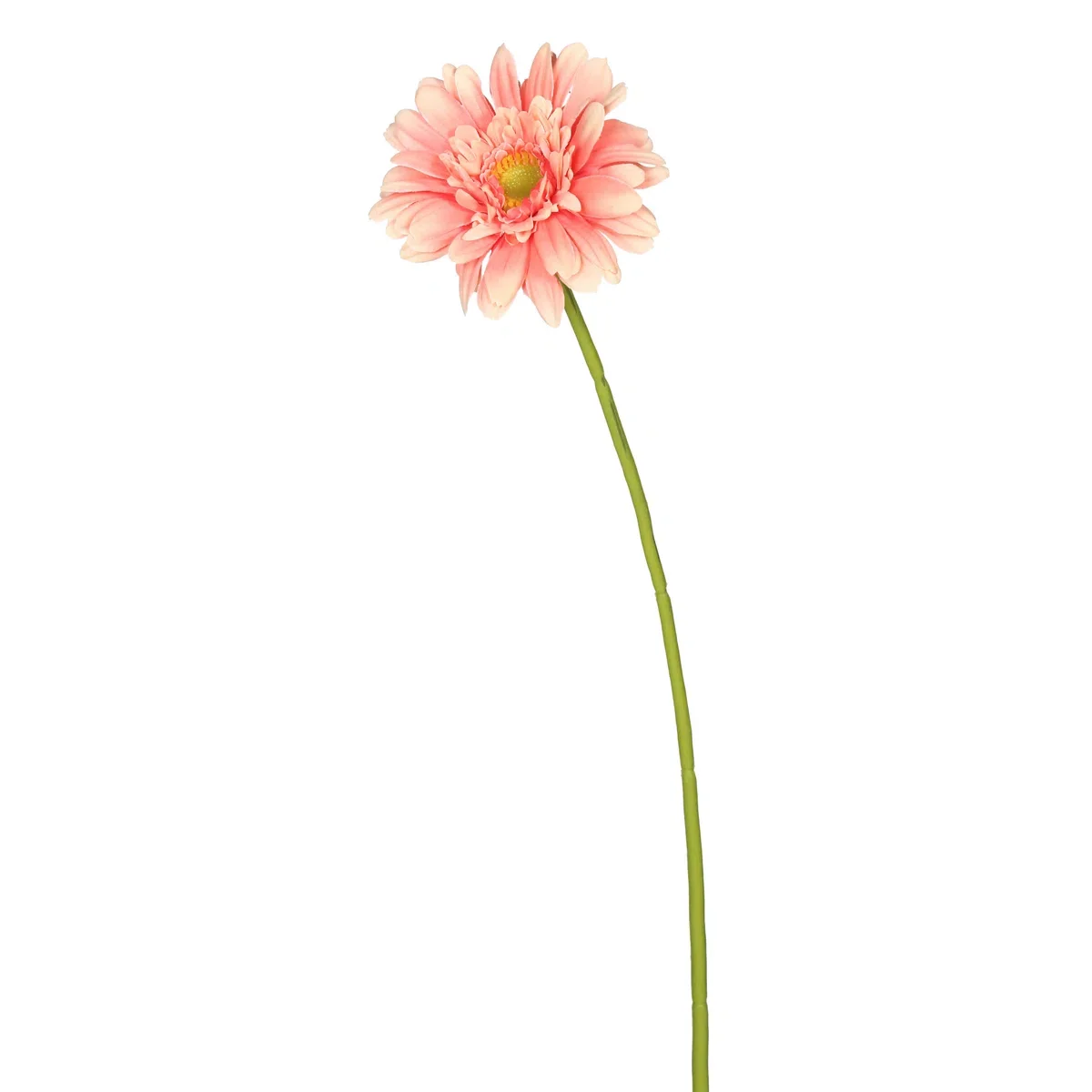 A single pink flower with a green stem, isolated on a white background.