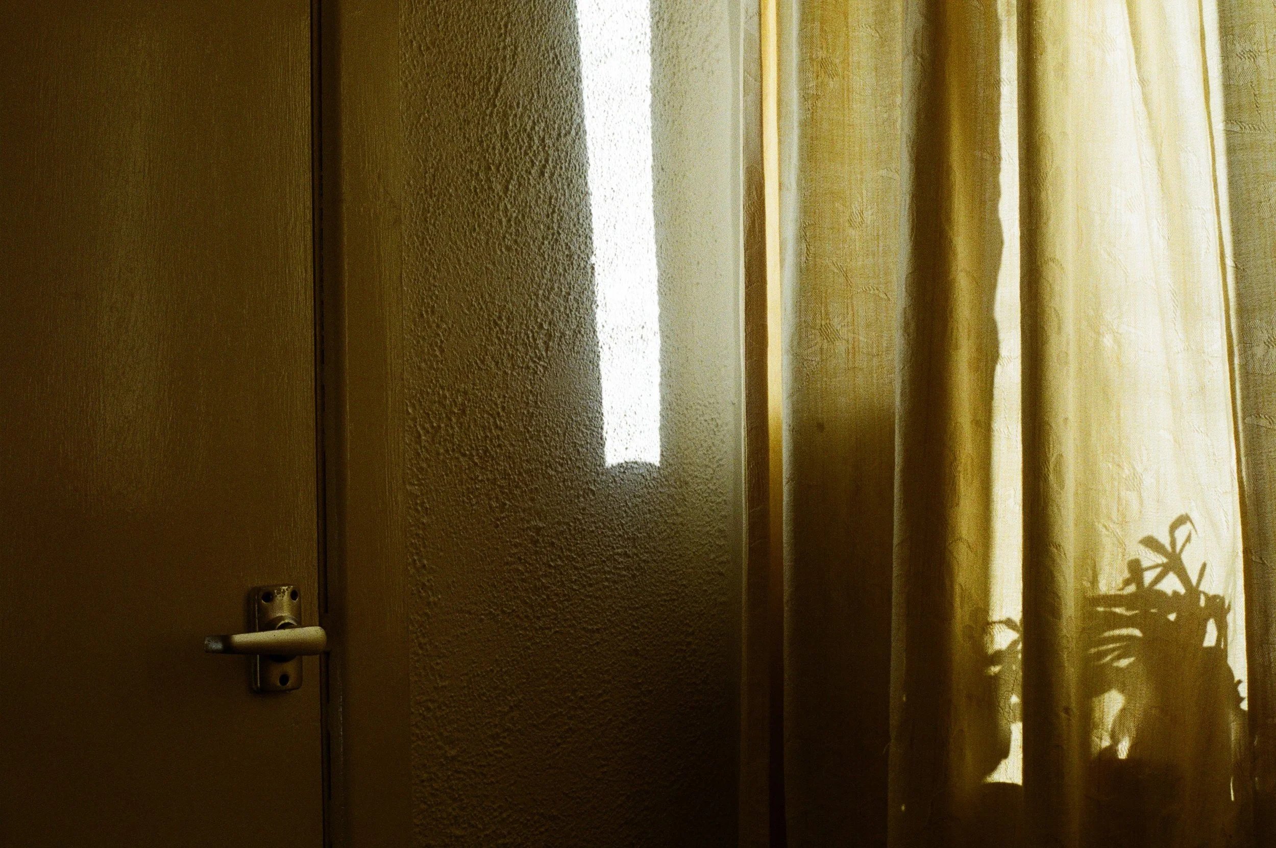 Sunlight shining through a window onto a textured wall and a closed curtain with a shadow of a potted plant.