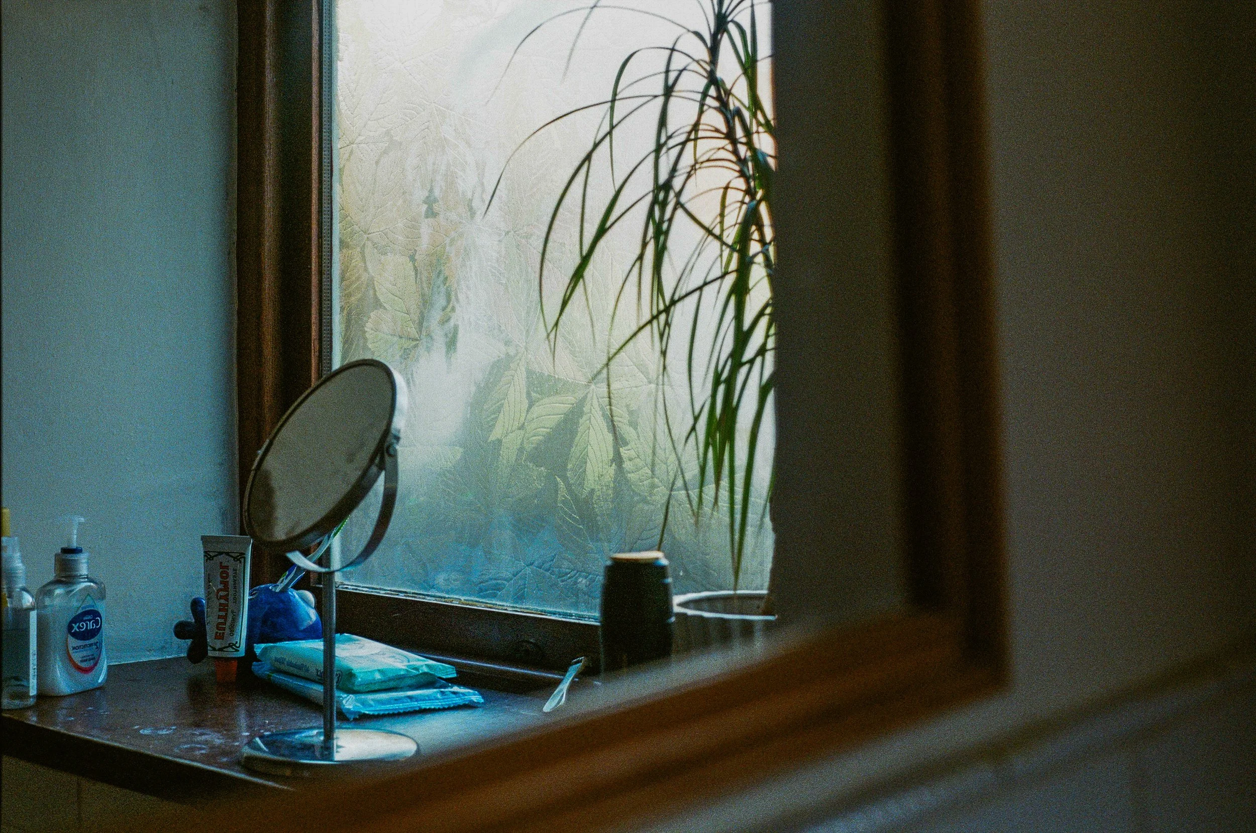 A vanity table with personal care items, a small mirror, and a large window with frosted glass and leafy plant silhouette.