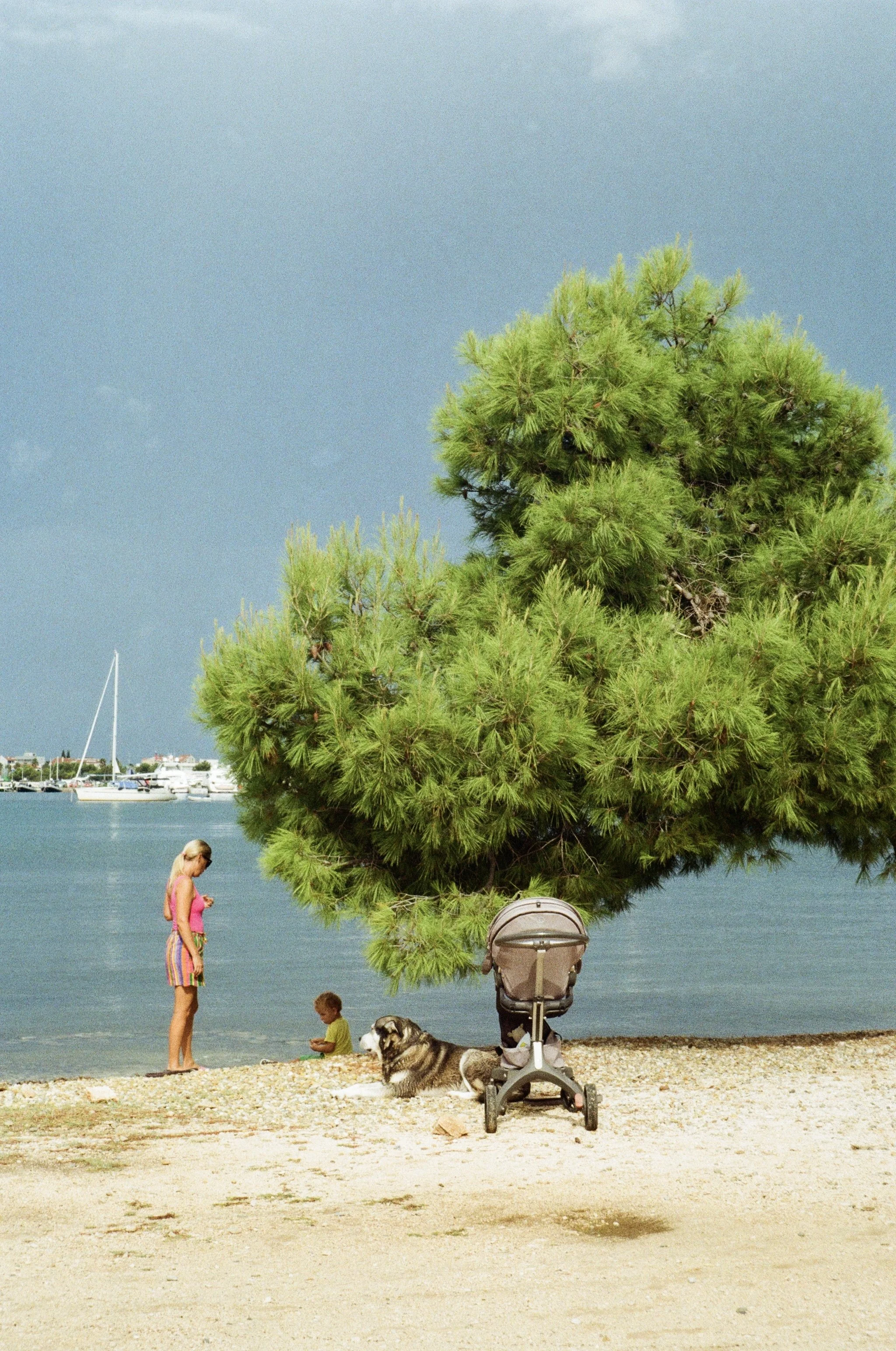 A beach scene with a large green tree, a woman in a pink top and striped shorts, two children playing near the water, a dog lying on the sand, and a stroller in the foreground. Boats are docked in the background.