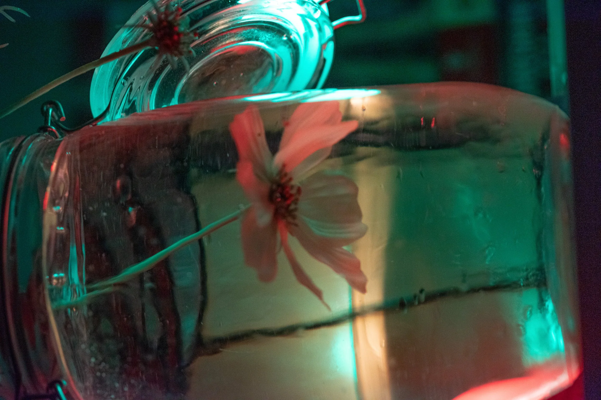 A flower submerged in a glass container with colored lighting creating a vibrant, artistic effect.