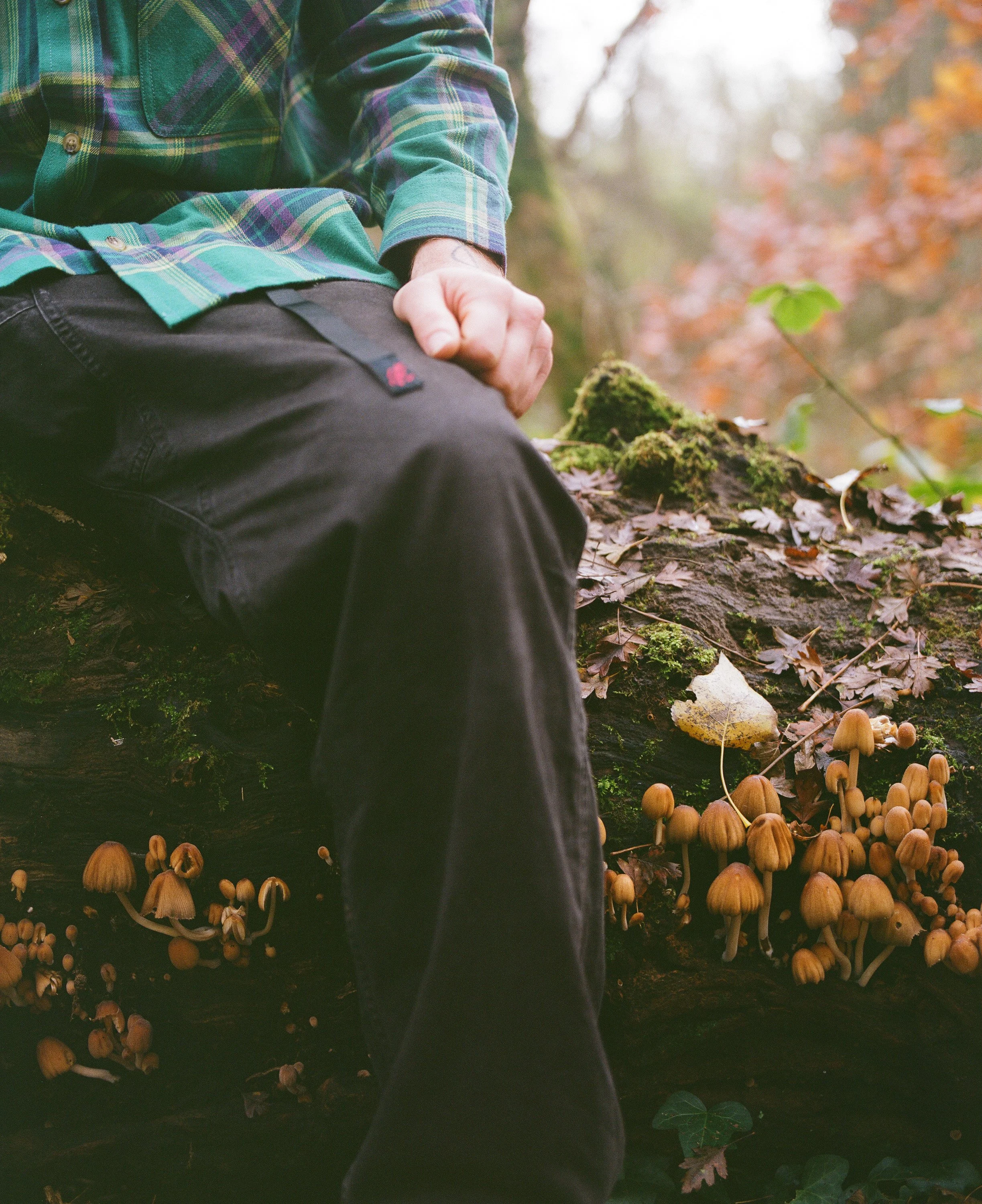 Person sitting on a fallen log in a forest, wearing a green plaid shirt and black pants, with mushrooms growing on the log.