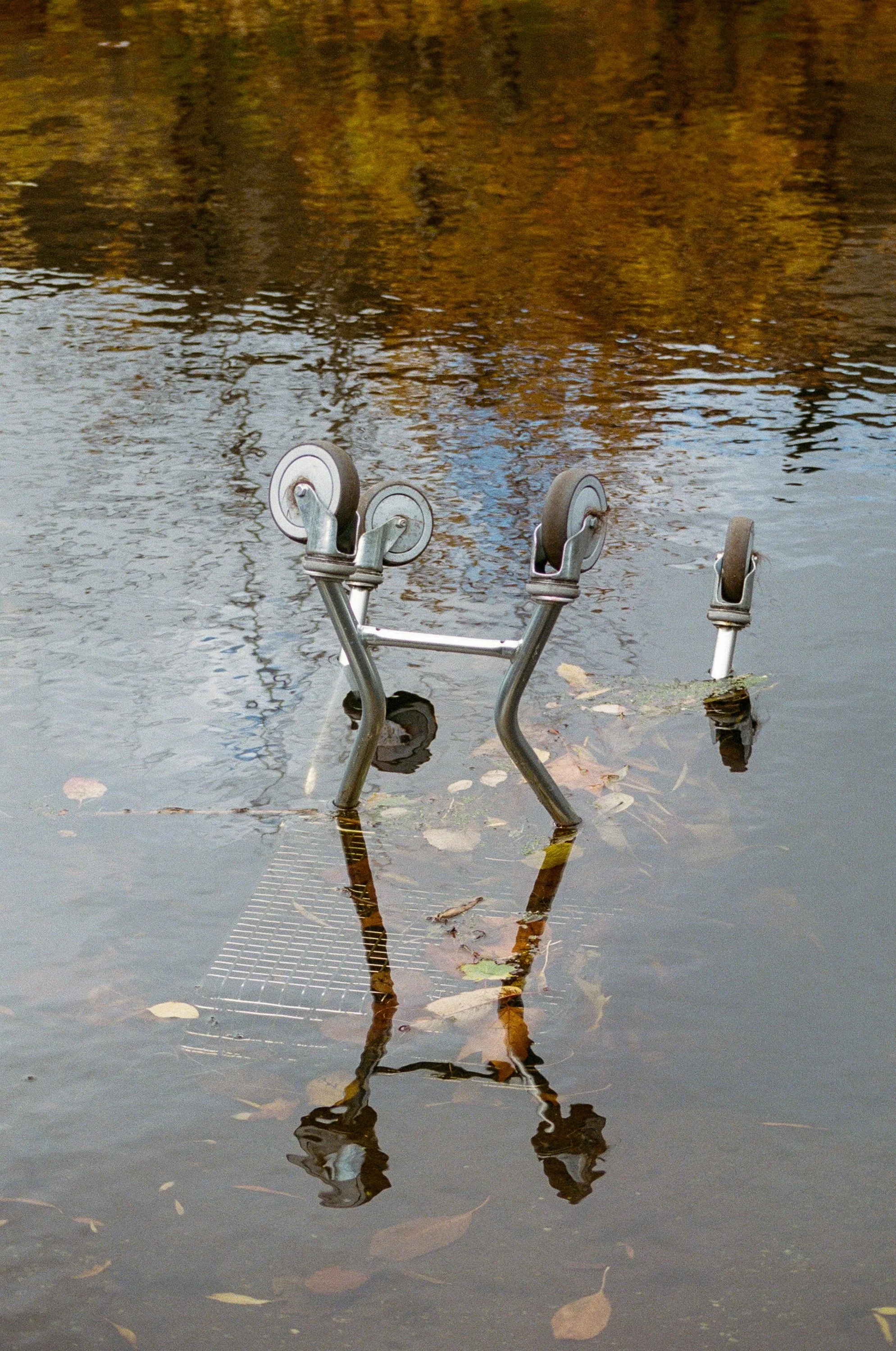 A partially submerged metal chair in a flooded area, with water and fallen leaves.