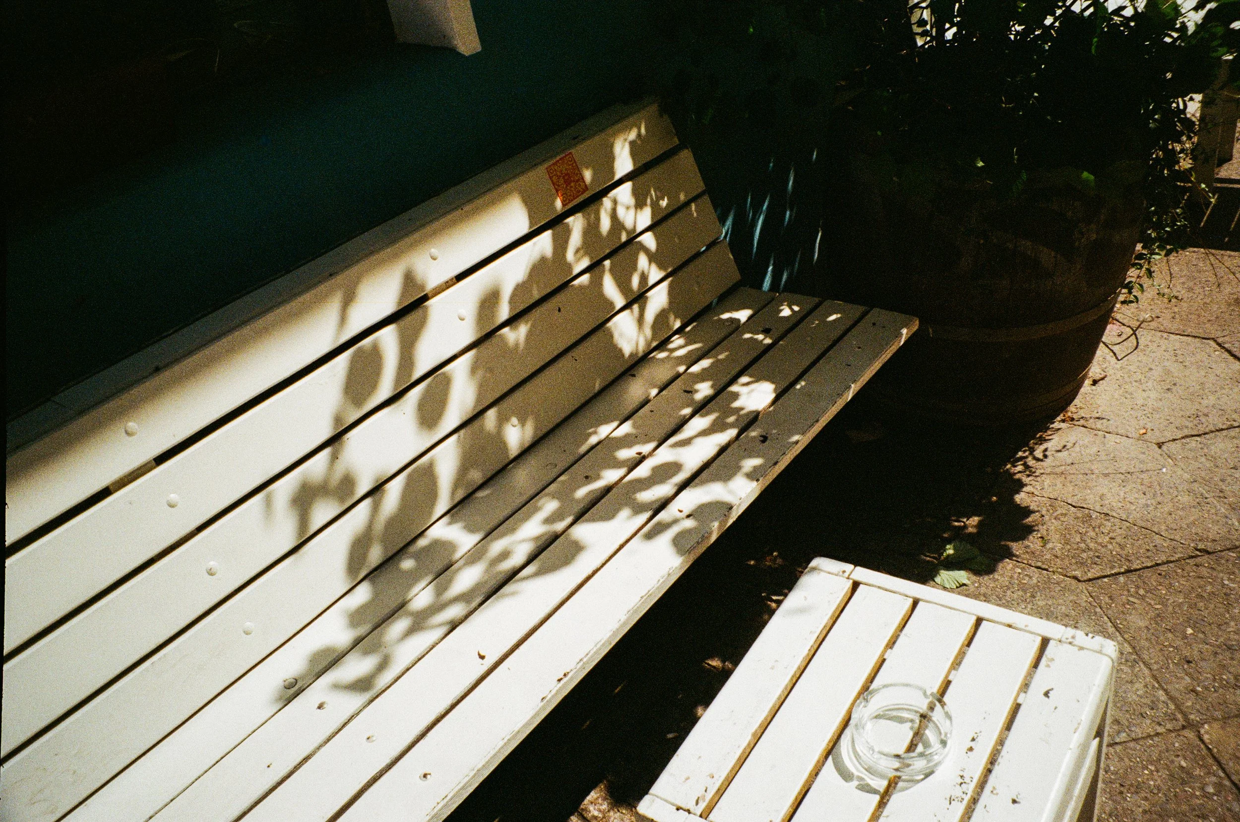 A white park bench with rust spots, shadowed by tree leaves, next to a large potted plant on the sidewalk. An empty glass ashtray sits on a matching white table nearby.