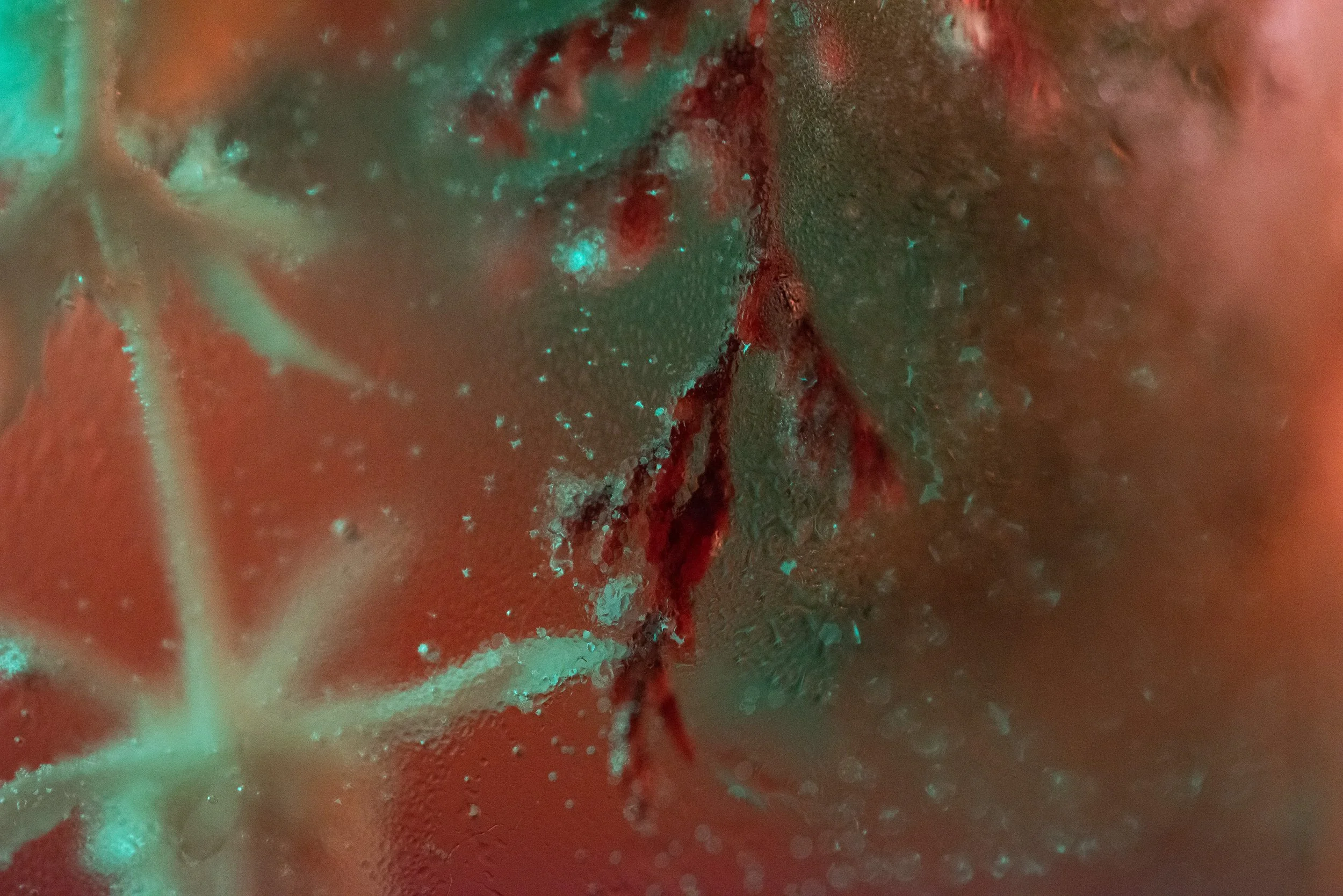 Close-up of a tomato showing its inner structure with seeds and flesh.